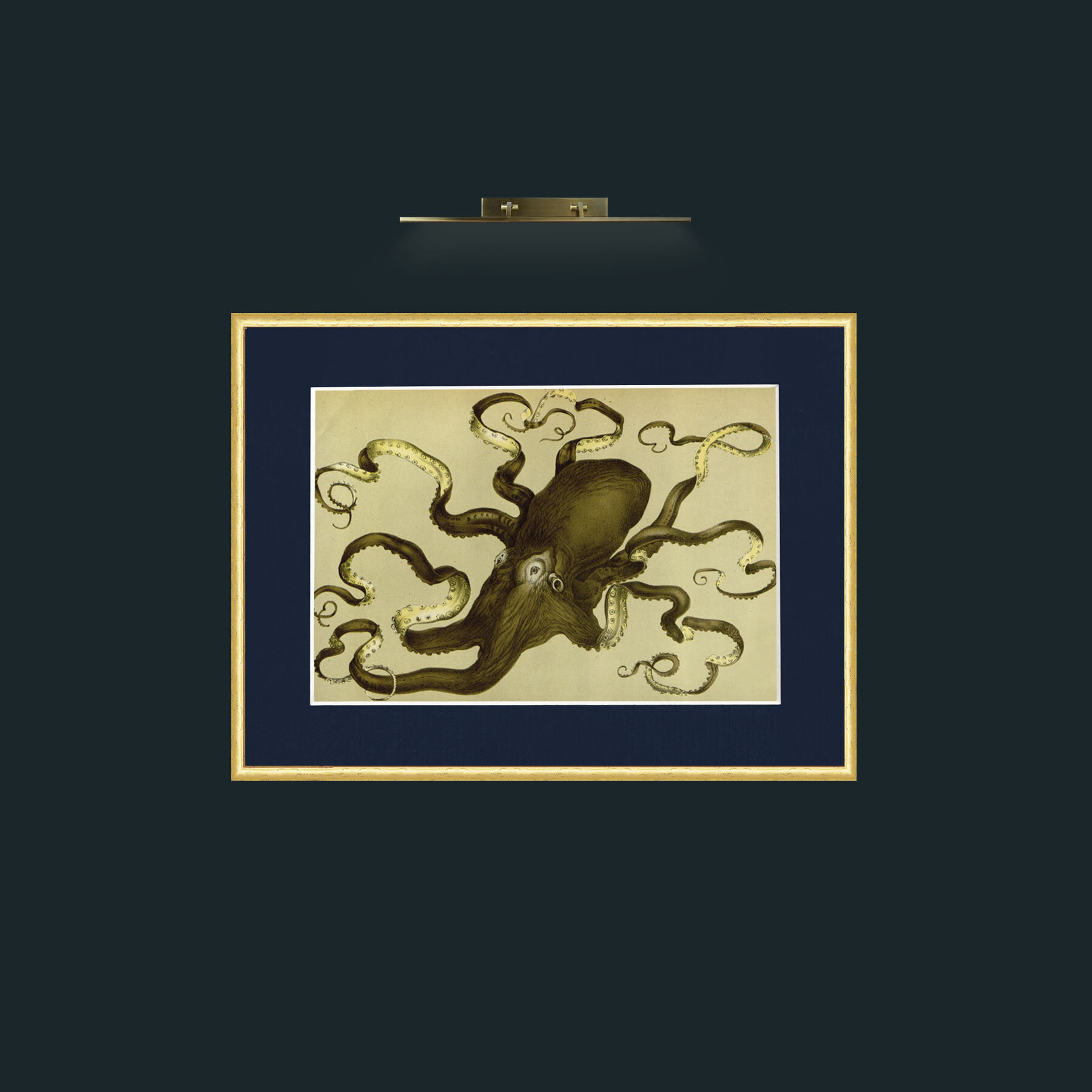 Art-Green Octapus-Frame-3RoundedGilt-Mount-3Blue.jpg