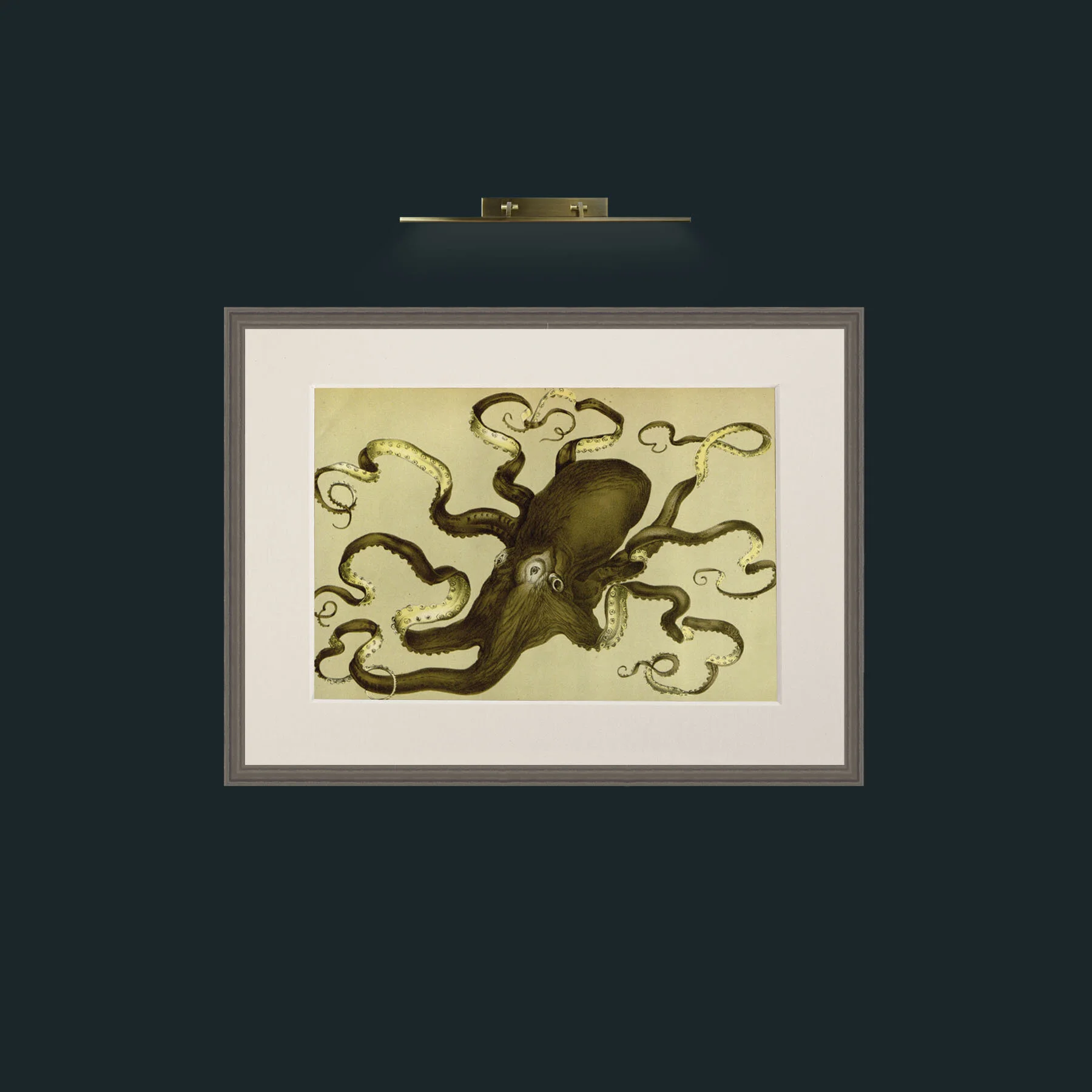 Art-Green Octapus-Frame-6Grey-Mount-1Antique.jpg
