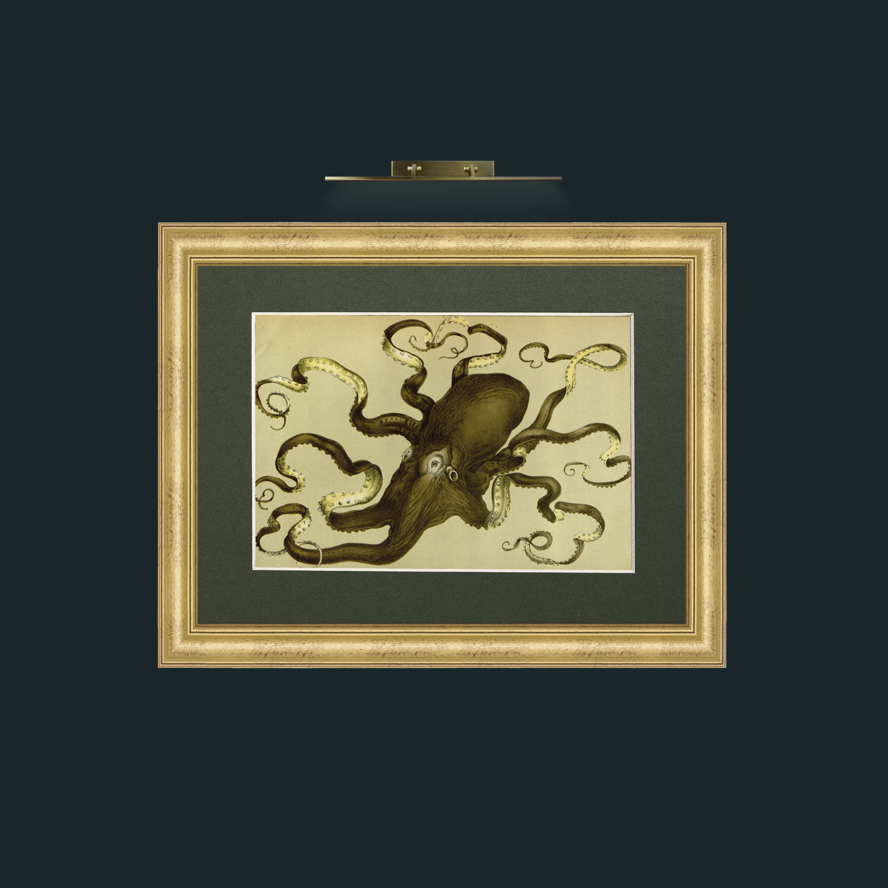 Art-Green Octapus-Frame-9WideGilt-Mount-2Green.jpg