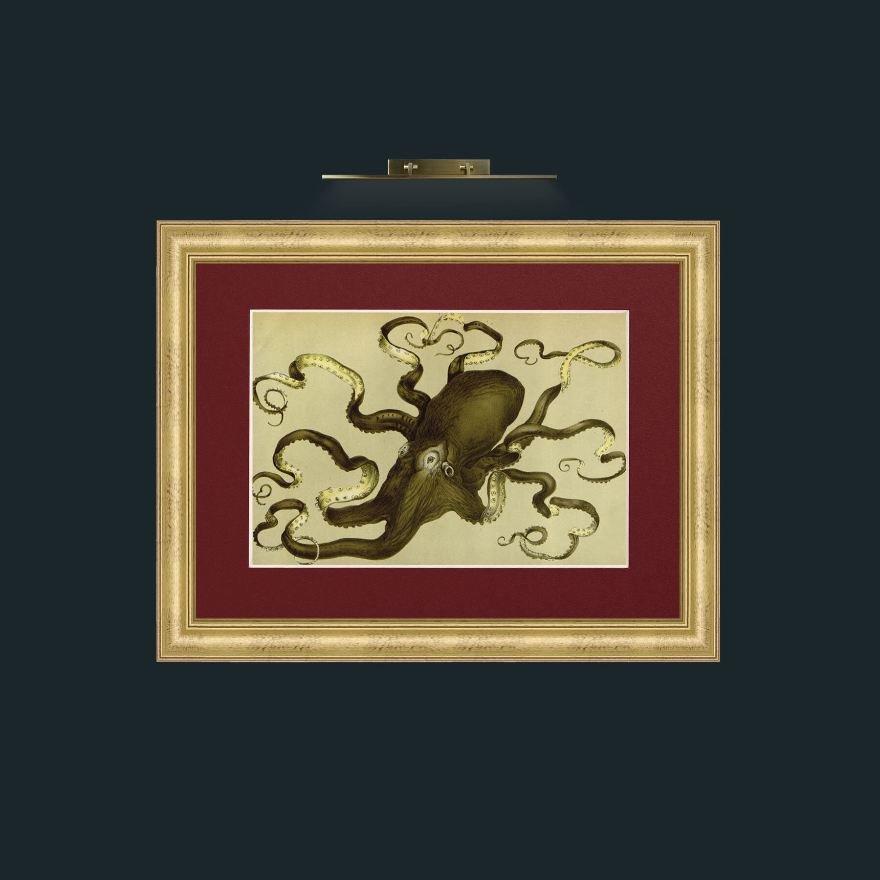 Art-Green Octapus-Frame-9WideGilt-Mount-4Red.jpg