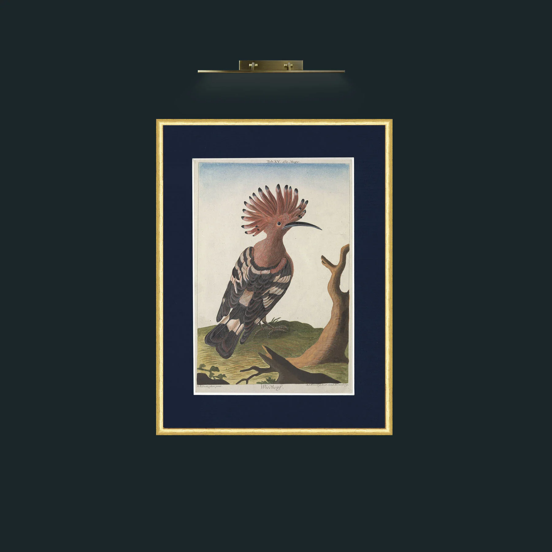 Art-Recueildedivers00HuthB_0236.jpg-Frame-3RoundedGilt-Mount-3Blue.jpg