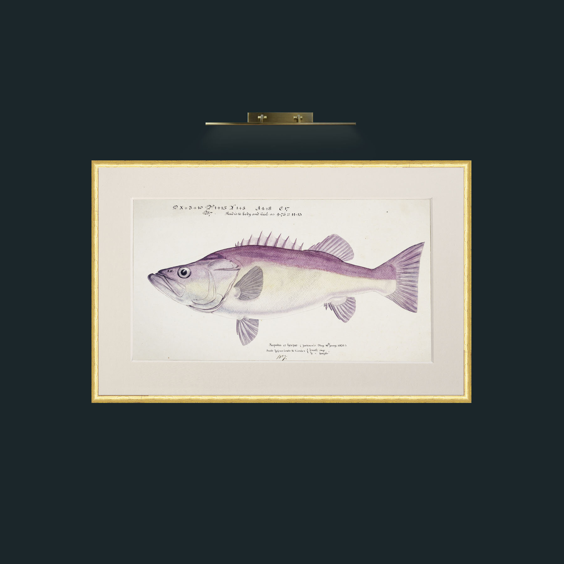 Art-Groper.jpg-Frame-3RoundedGilt-Mount-1Antique.jpg