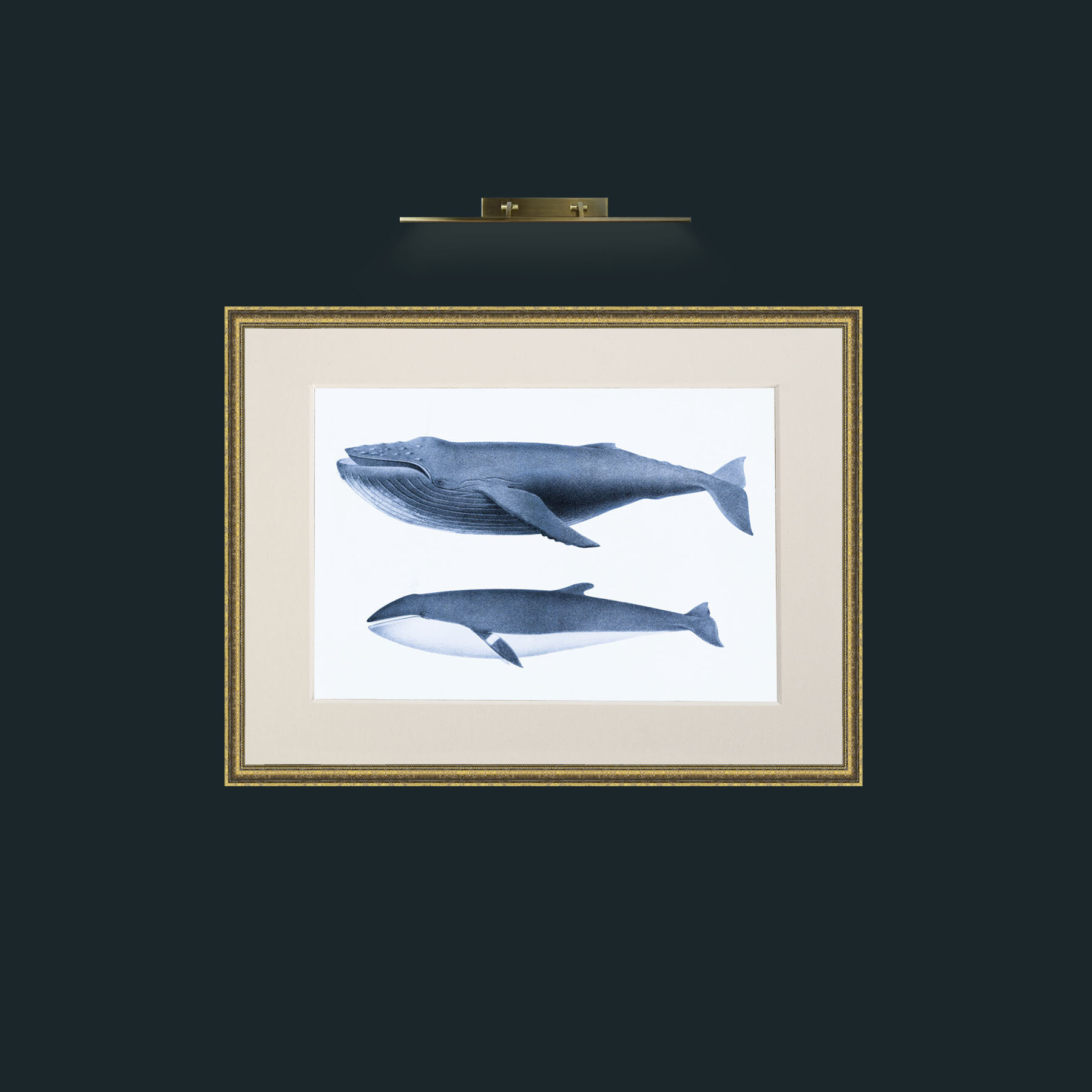 Art-Humpback Whale and Minke Whale-Frame-1TexturedGilt-Mount-1Antique.jpg