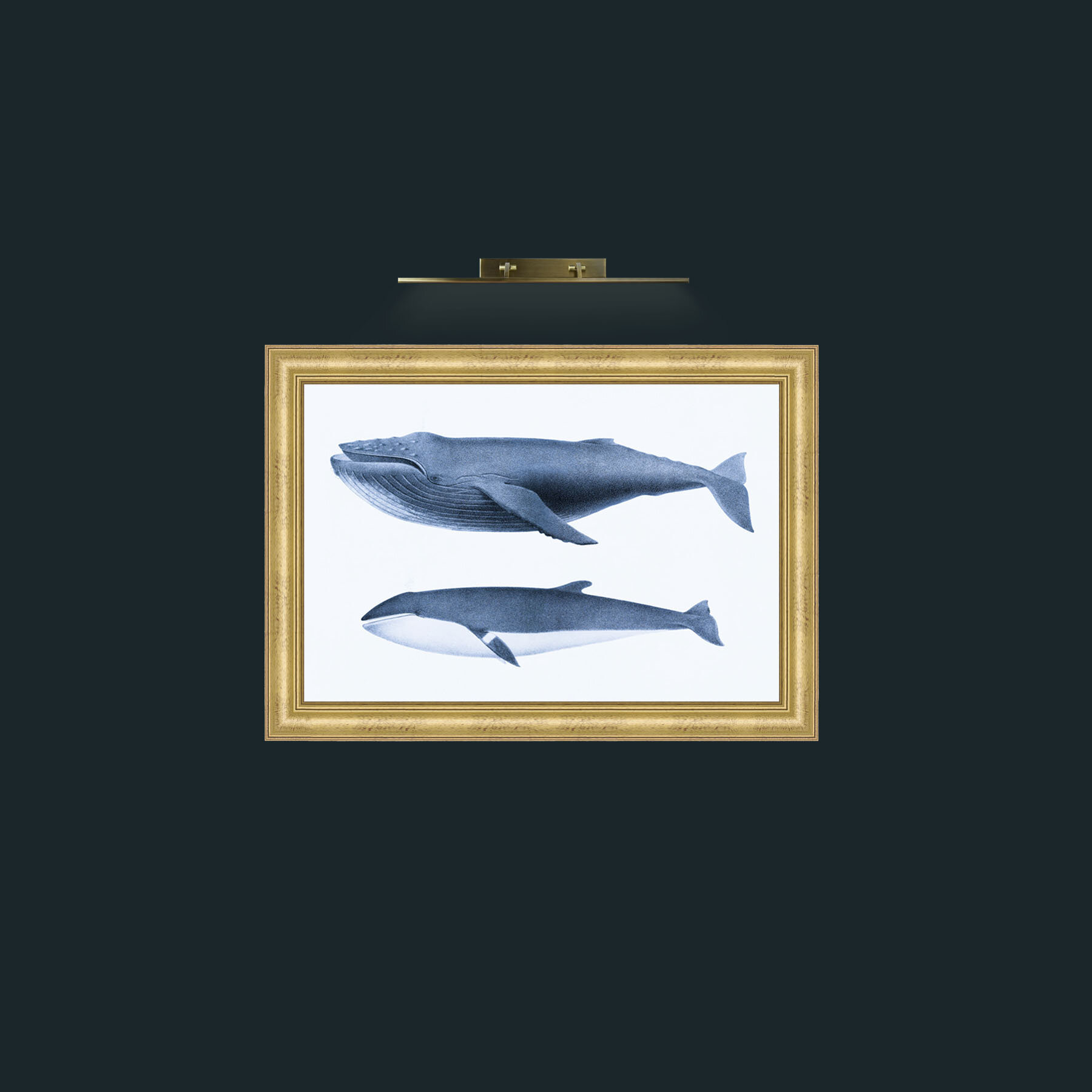 Art-Humpback Whale and Minke Whale-Frame-9WideGilt.jpg