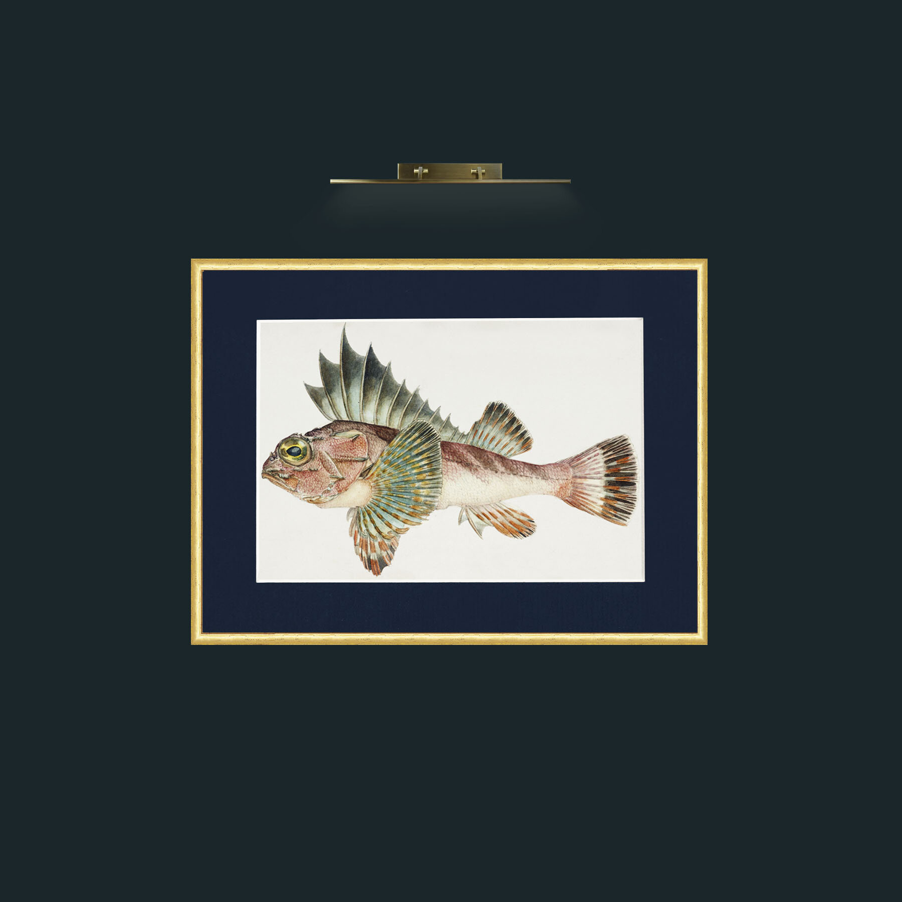 Art-King Gurnard-Frame-3RoundedGilt-Mount-3Blue.jpg
