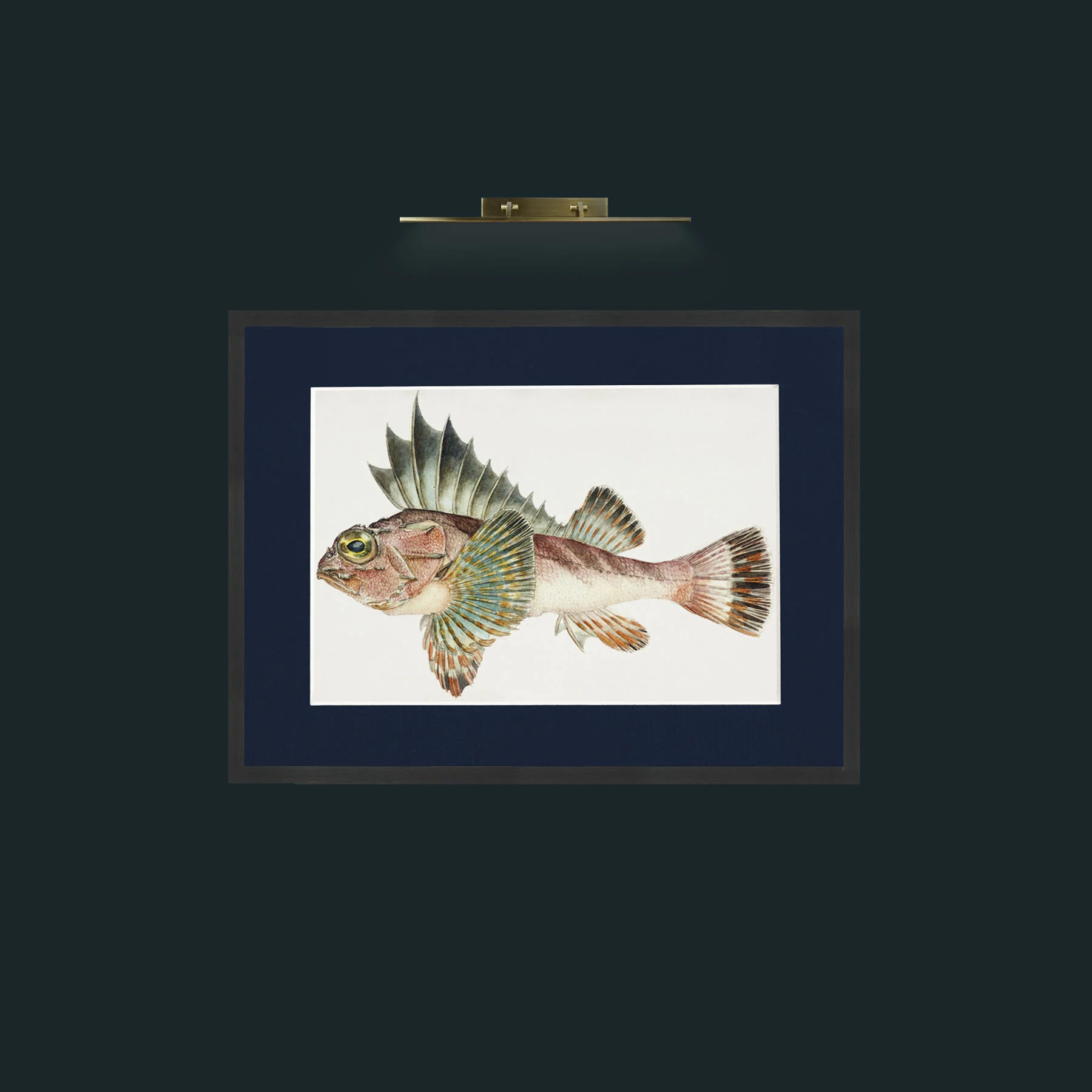 Art-King Gurnard-Frame-7Black-Mount-3Blue.jpg