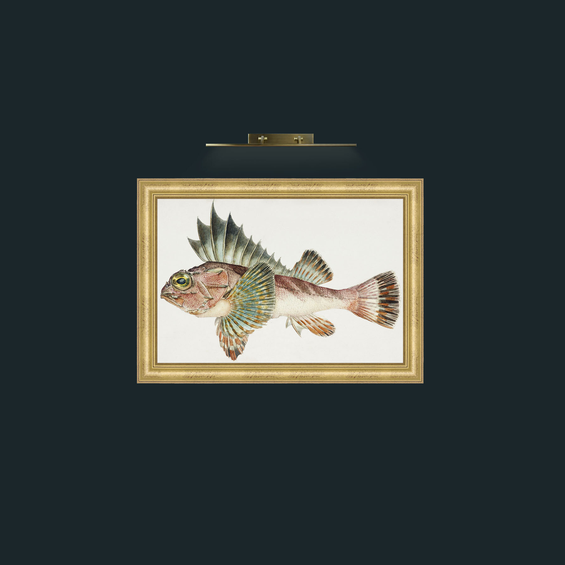 Art-King Gurnard-Frame-9WideGilt.jpg