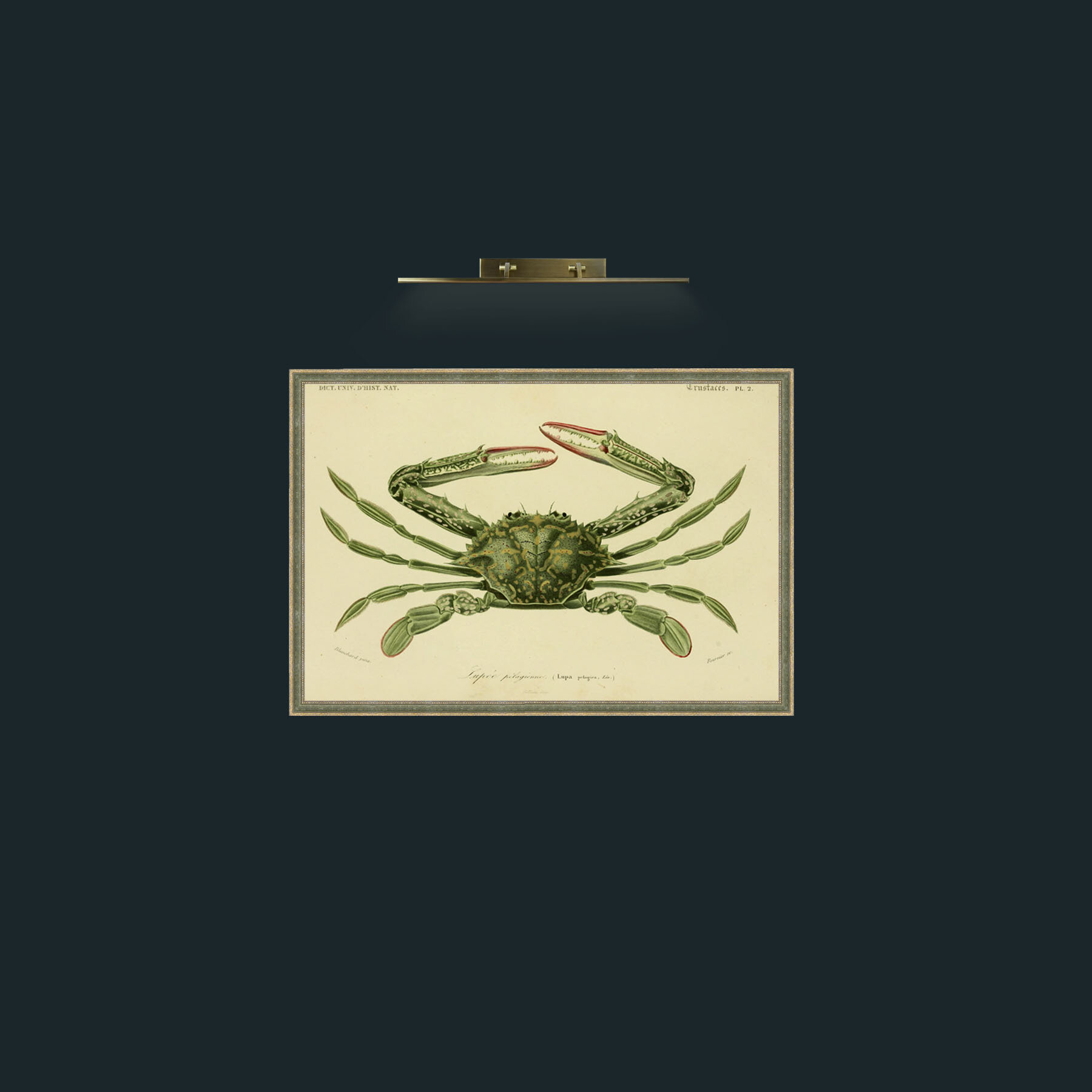 Art-Lupa Pelagiea-Frame-2GreenGiltTextured.jpg