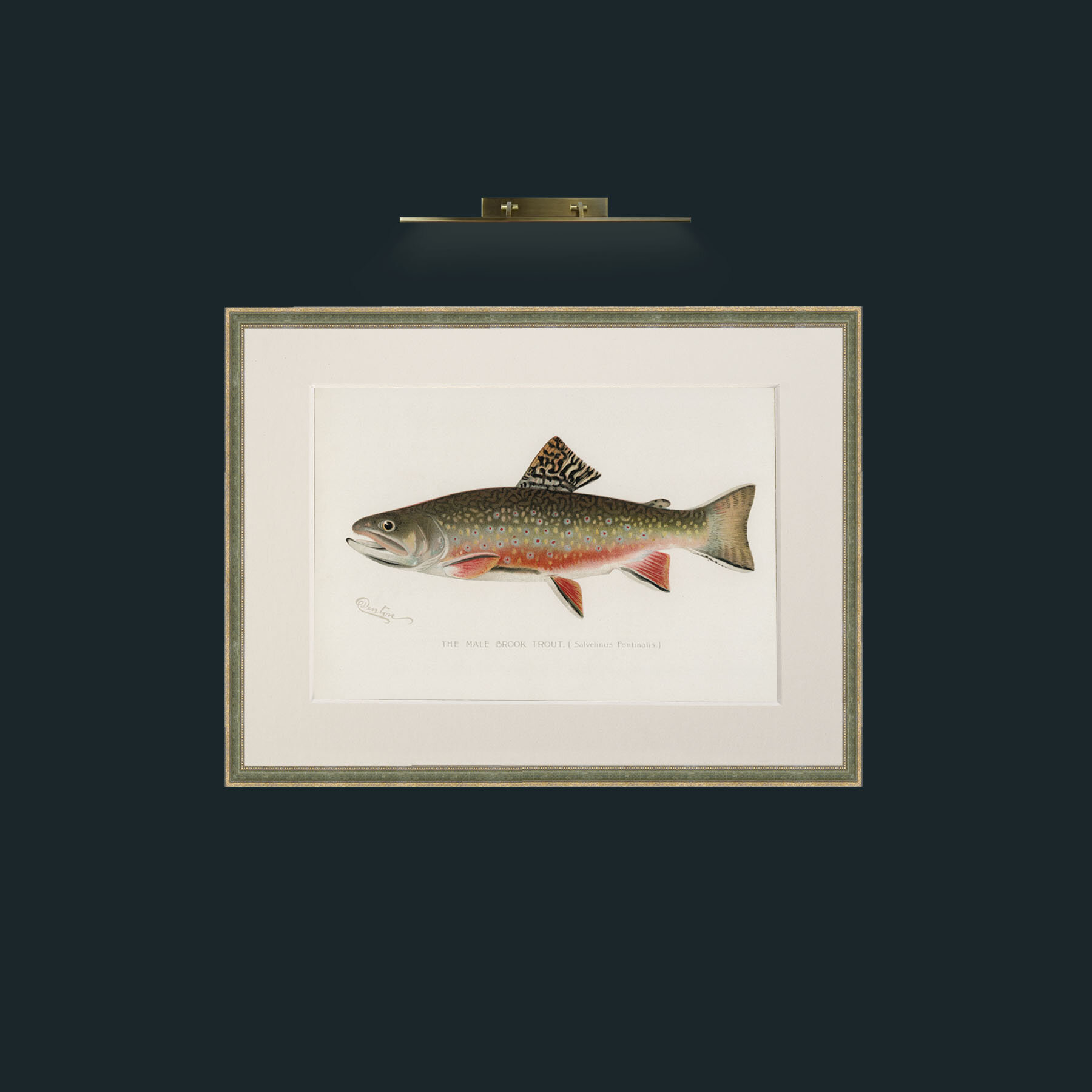 Art-Male Brook Trout-Frame-2GreenGiltTextured-Mount-1Antique.jpg