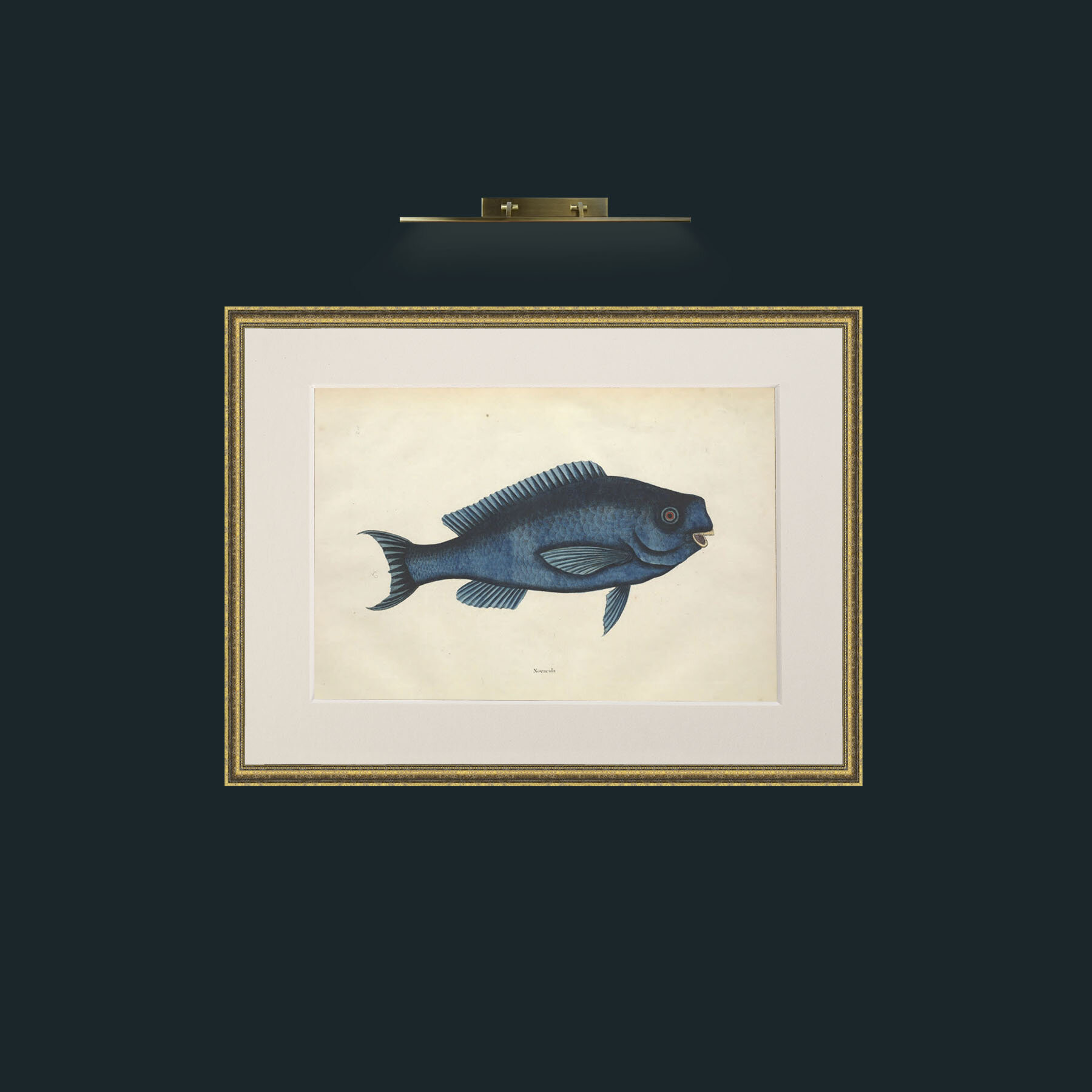 Art-Novacula-Frame-1TexturedGilt-Mount-1Antique.jpg