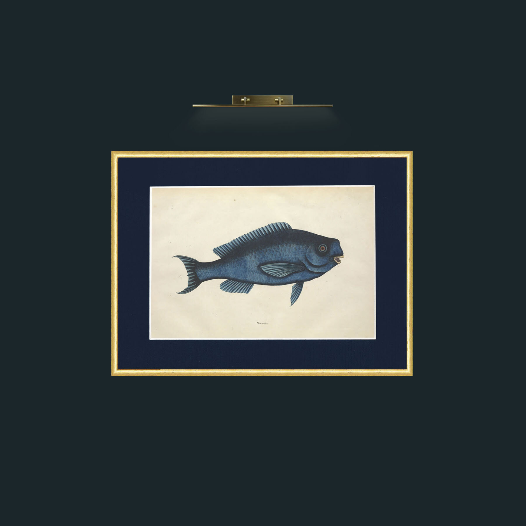 Art-Novacula-Frame-3RoundedGilt-Mount-3Blue.jpg