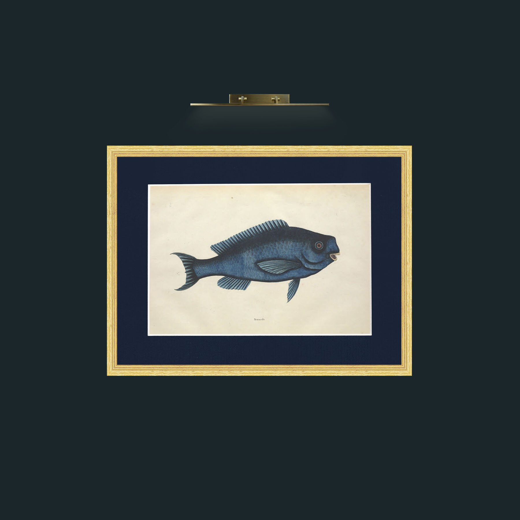 Art-Novacula-Frame-4BevelledGilt-Mount-3Blue.jpg