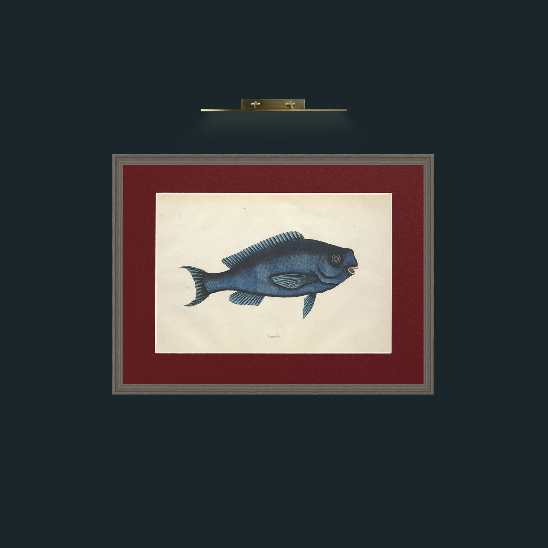 Art-Novacula-Frame-6Grey-Mount-4Red.jpg
