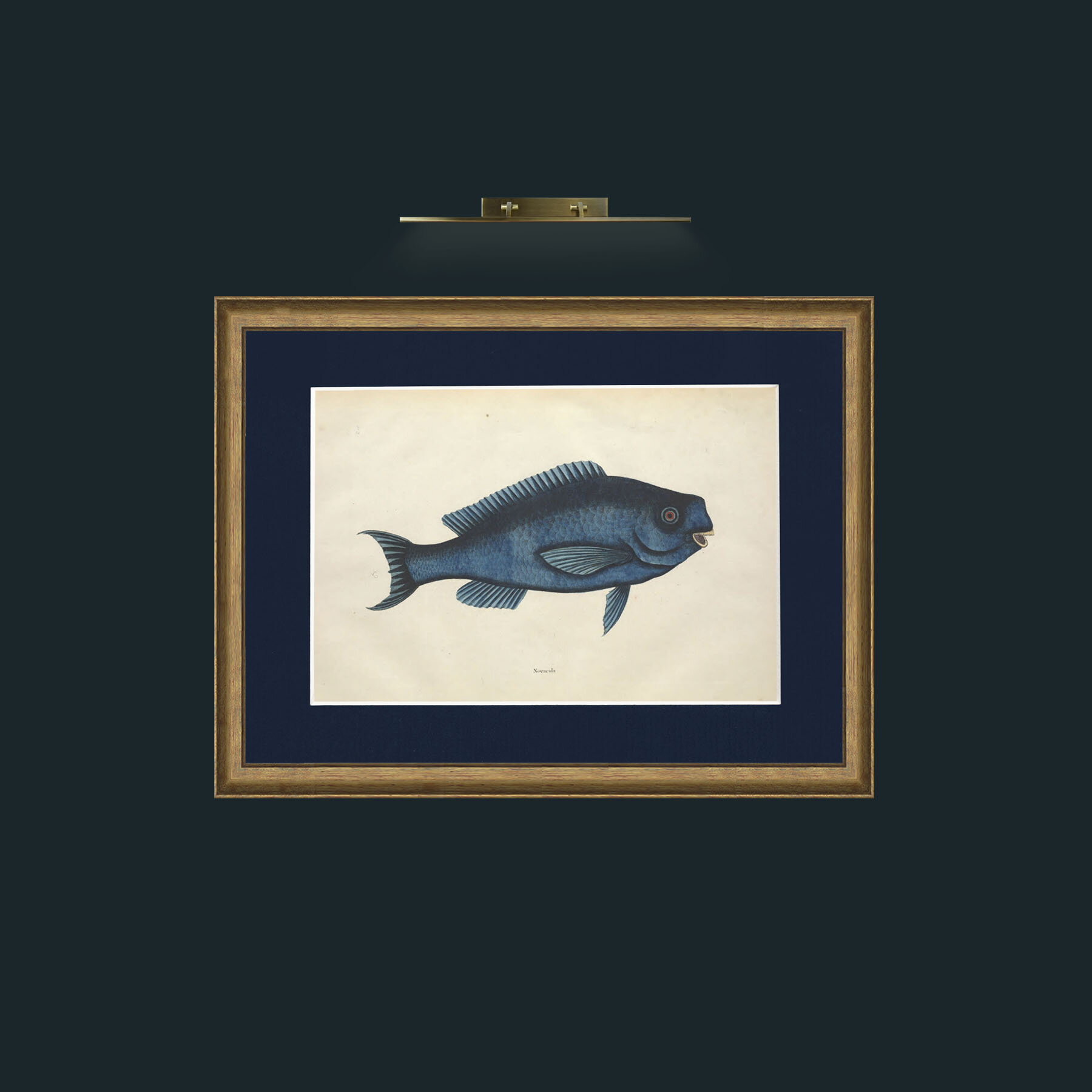 Art-Novacula-Frame-8AntiqueRedGoldGilt-Mount-3Blue.jpg