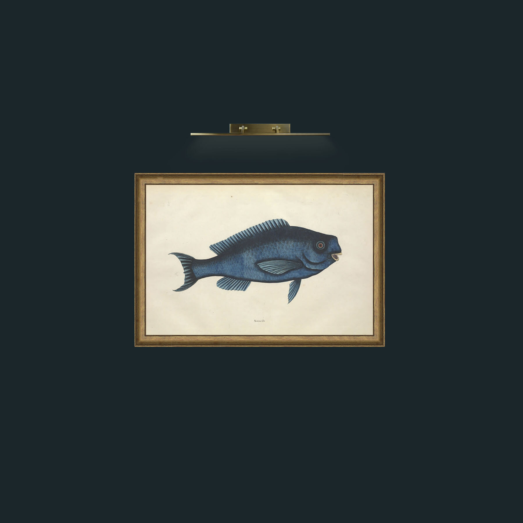 Art-Novacula-Frame-8RedGreenGilt.jpg