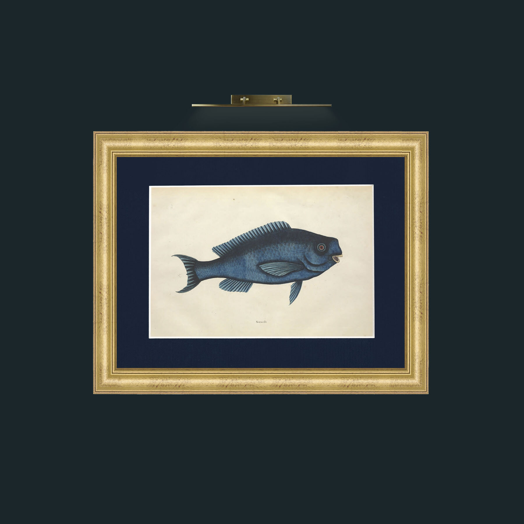 Art-Novacula-Frame-9WideGilt-Mount-3Blue.jpg
