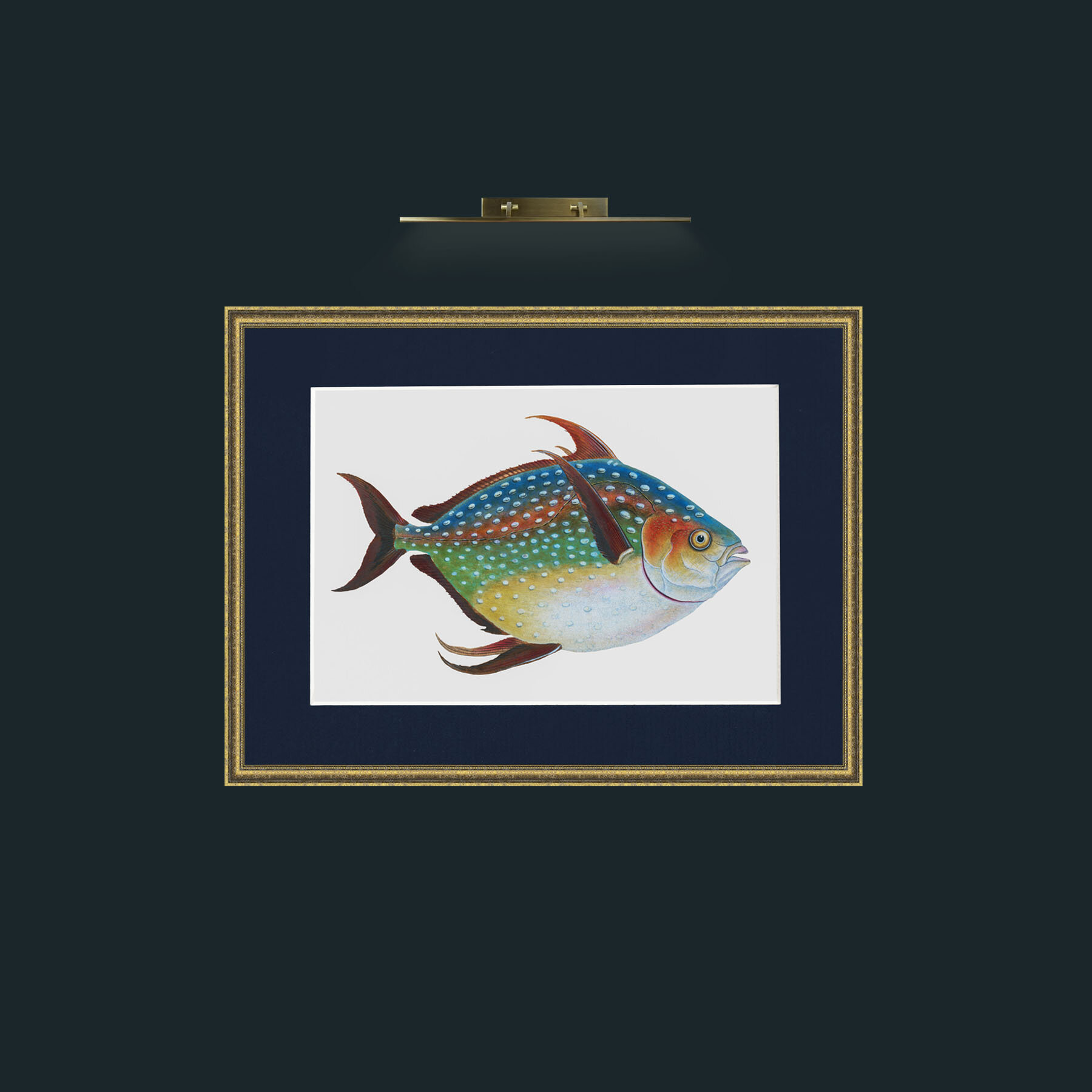 Art-Opah-Frame-1TexturedGilt-Mount-3Blue.jpg