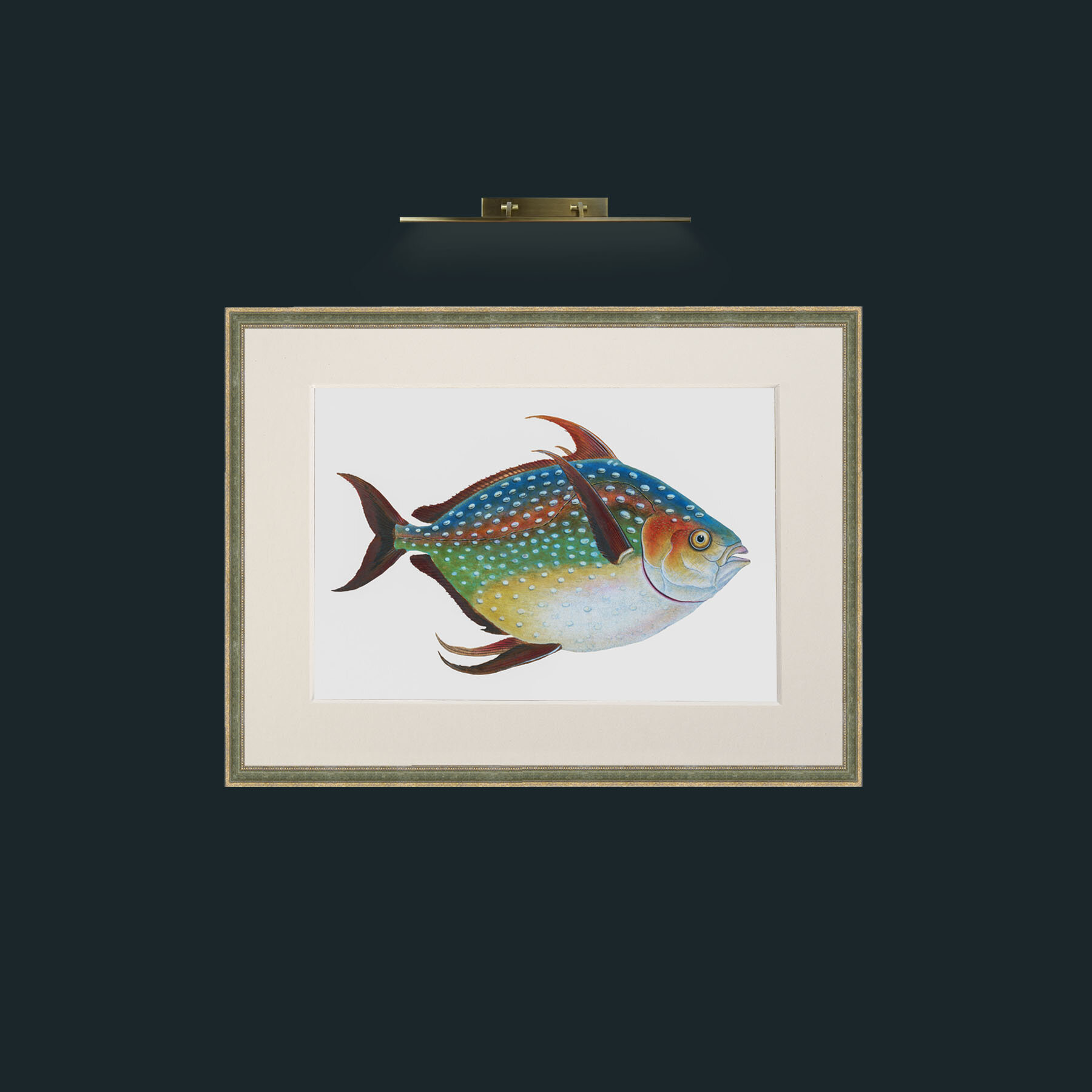 Art-Opah-Frame-2GreenGiltTextured-Mount-1Antique.jpg