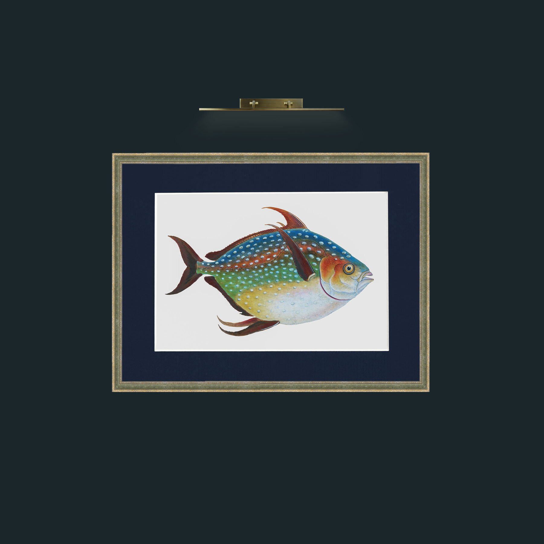 Art-Opah-Frame-2GreenGiltTextured-Mount-3Blue.jpg