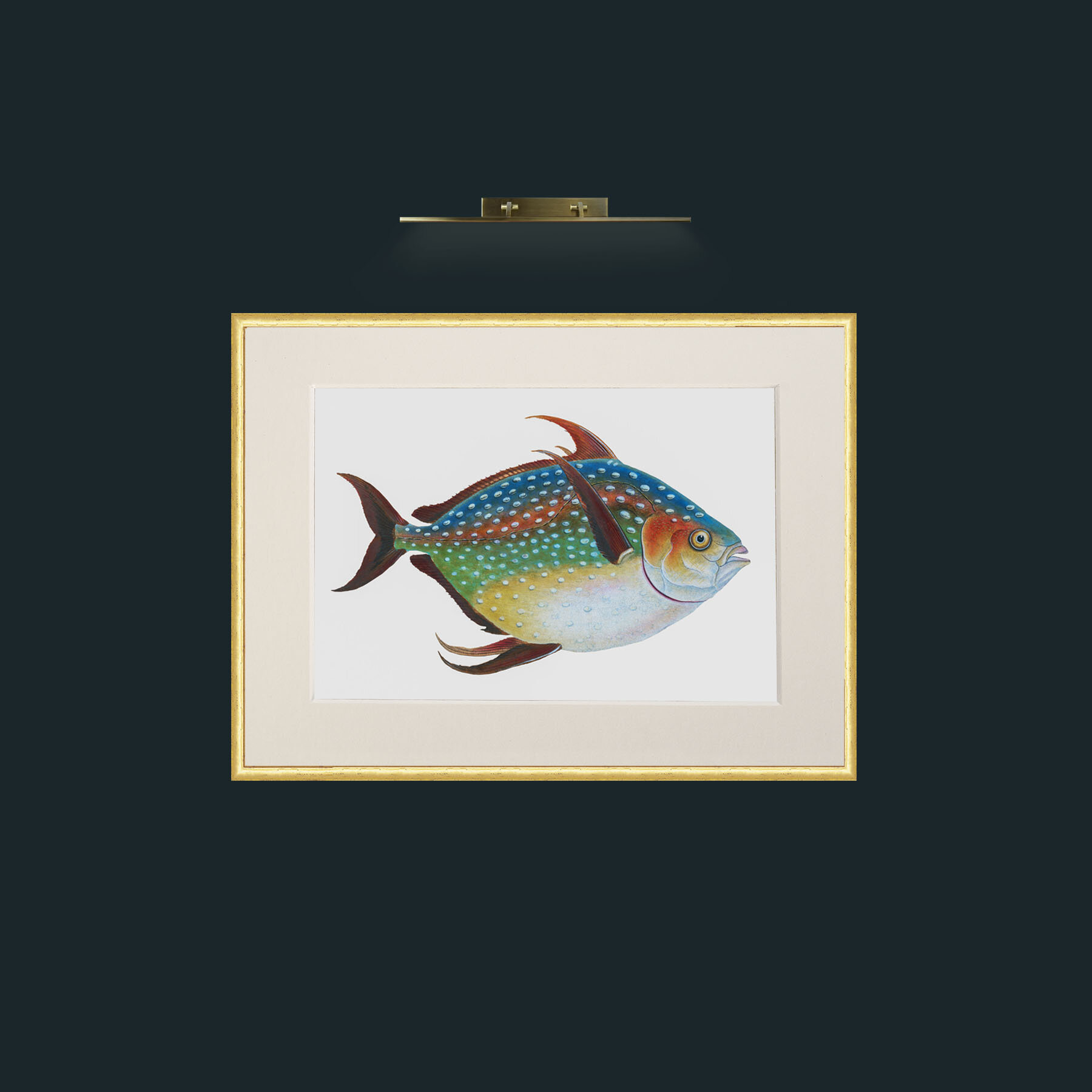 Art-Opah-Frame-3RoundedGilt-Mount-1Antique.jpg