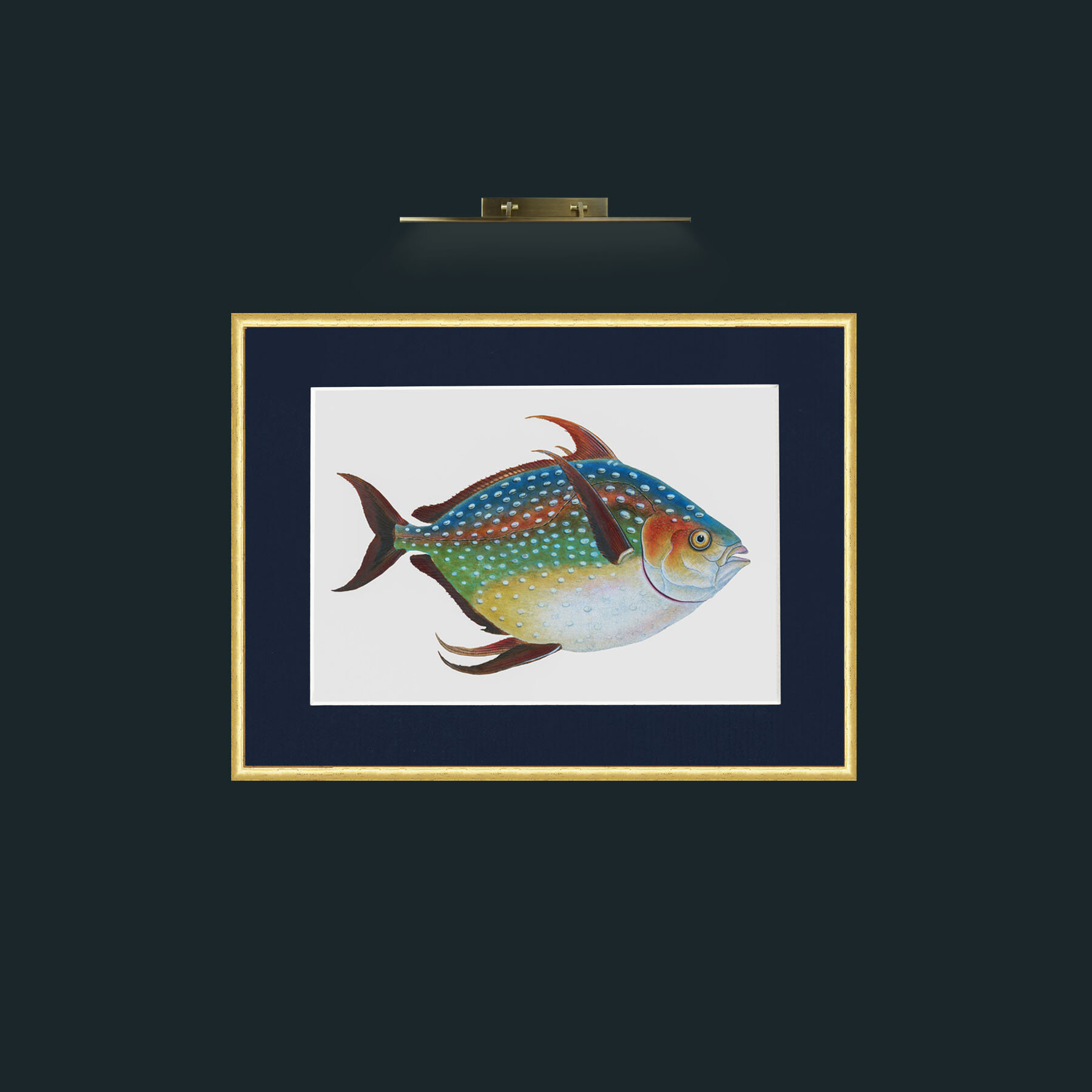Art-Opah-Frame-3RoundedGilt-Mount-3Blue.jpg
