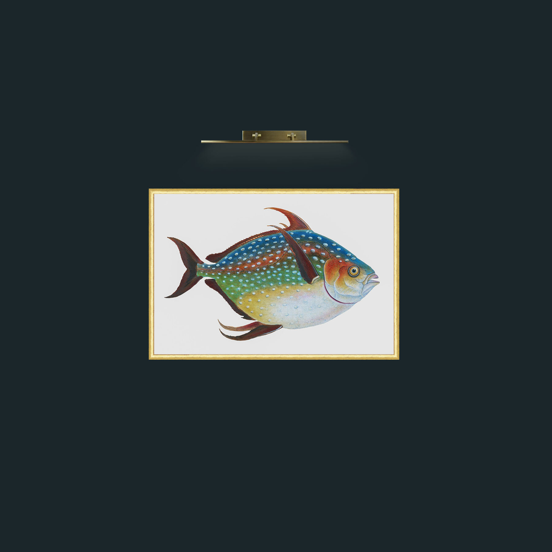 Art-Opah-Frame-3RoundedGilt.jpg