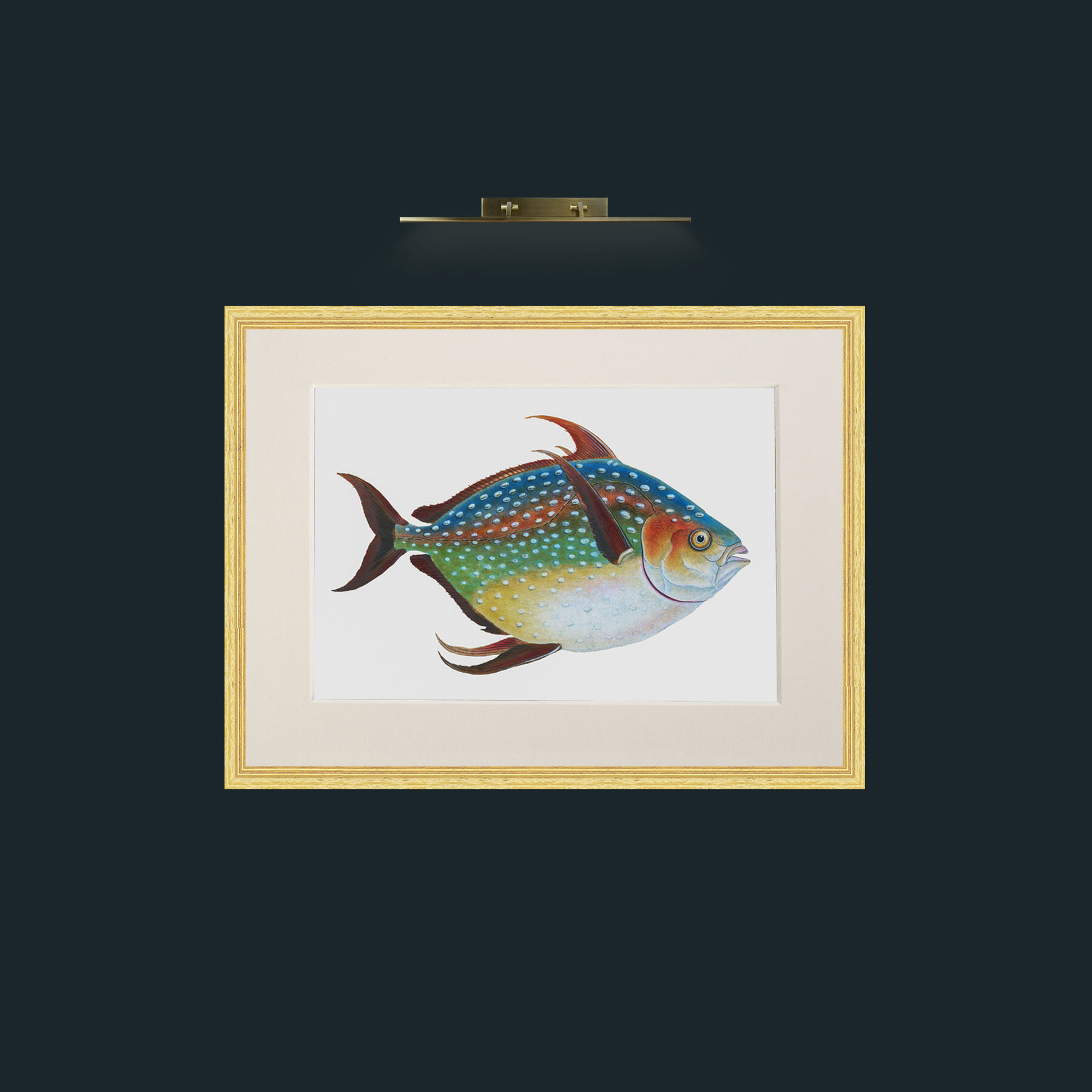 Art-Opah-Frame-4BevelledGilt-Mount-1Antique.jpg