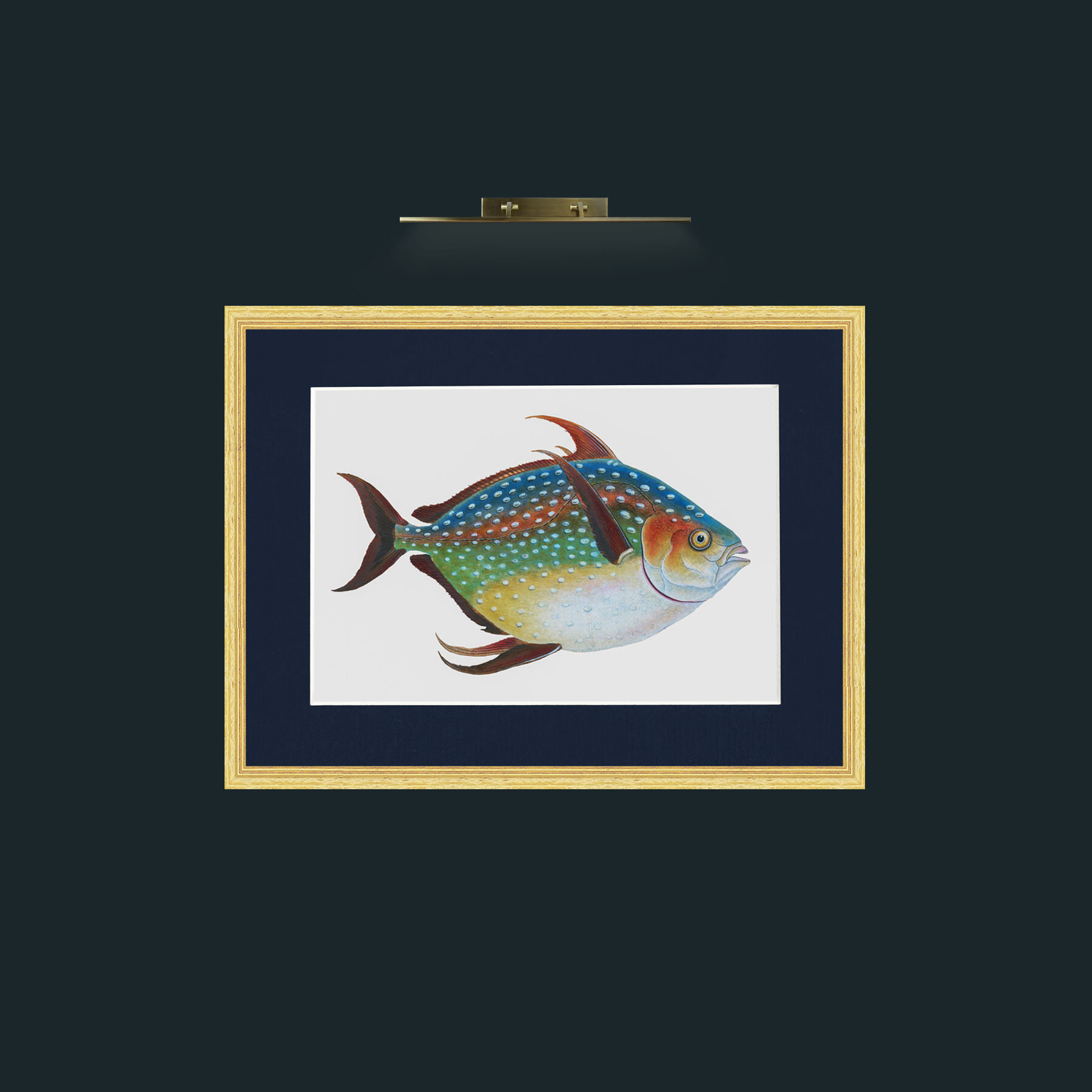 Art-Opah-Frame-4BevelledGilt-Mount-3Blue.jpg