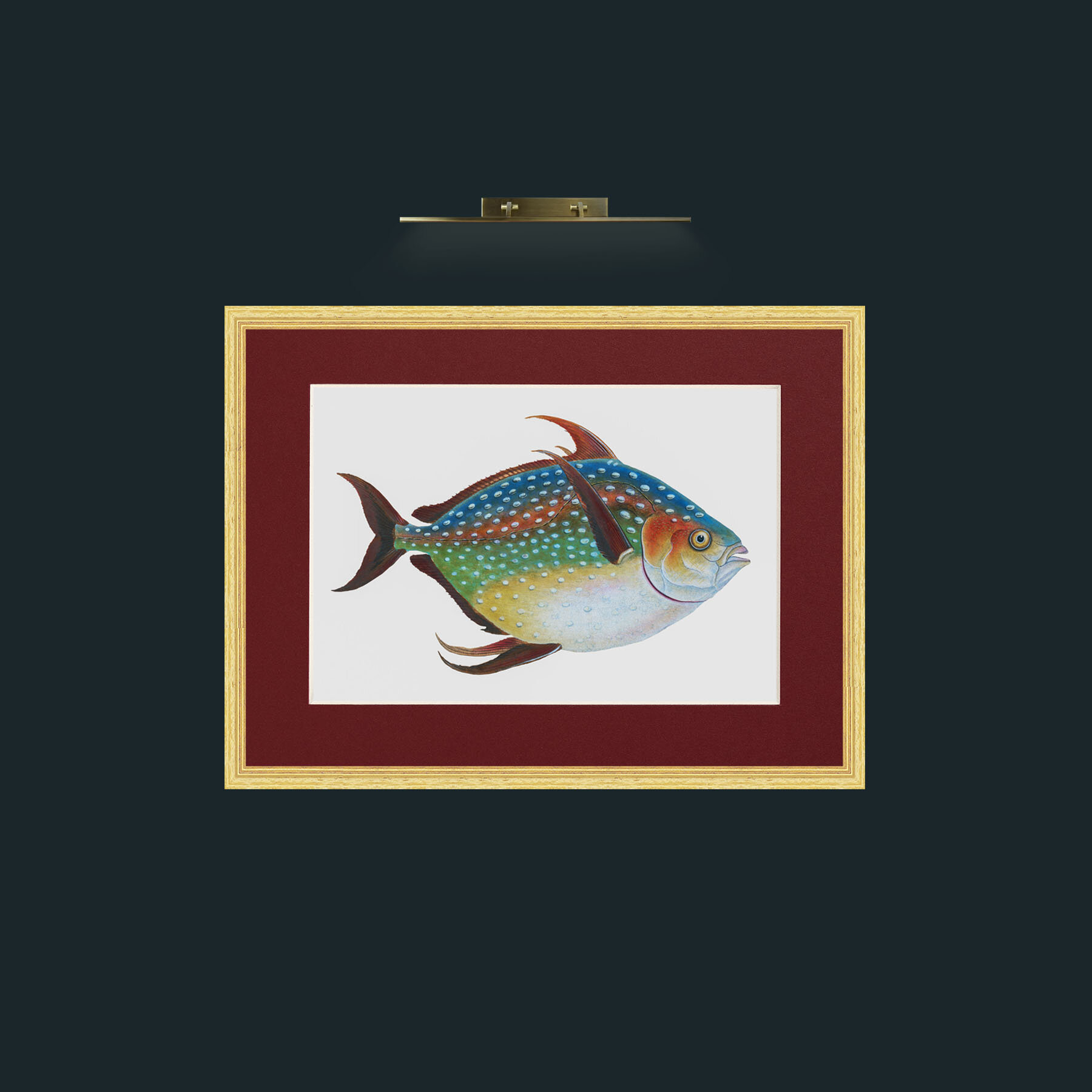 Art-Opah-Frame-4BevelledGilt-Mount-4Red.jpg