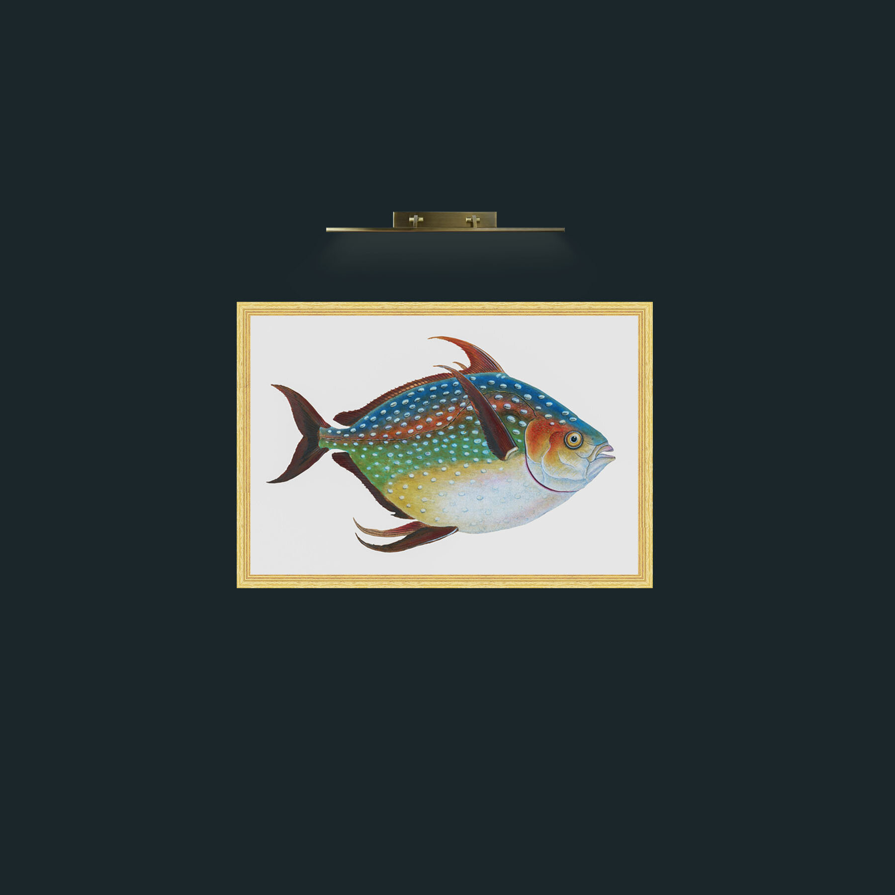 Art-Opah-Frame-4BevelledGilt.jpg