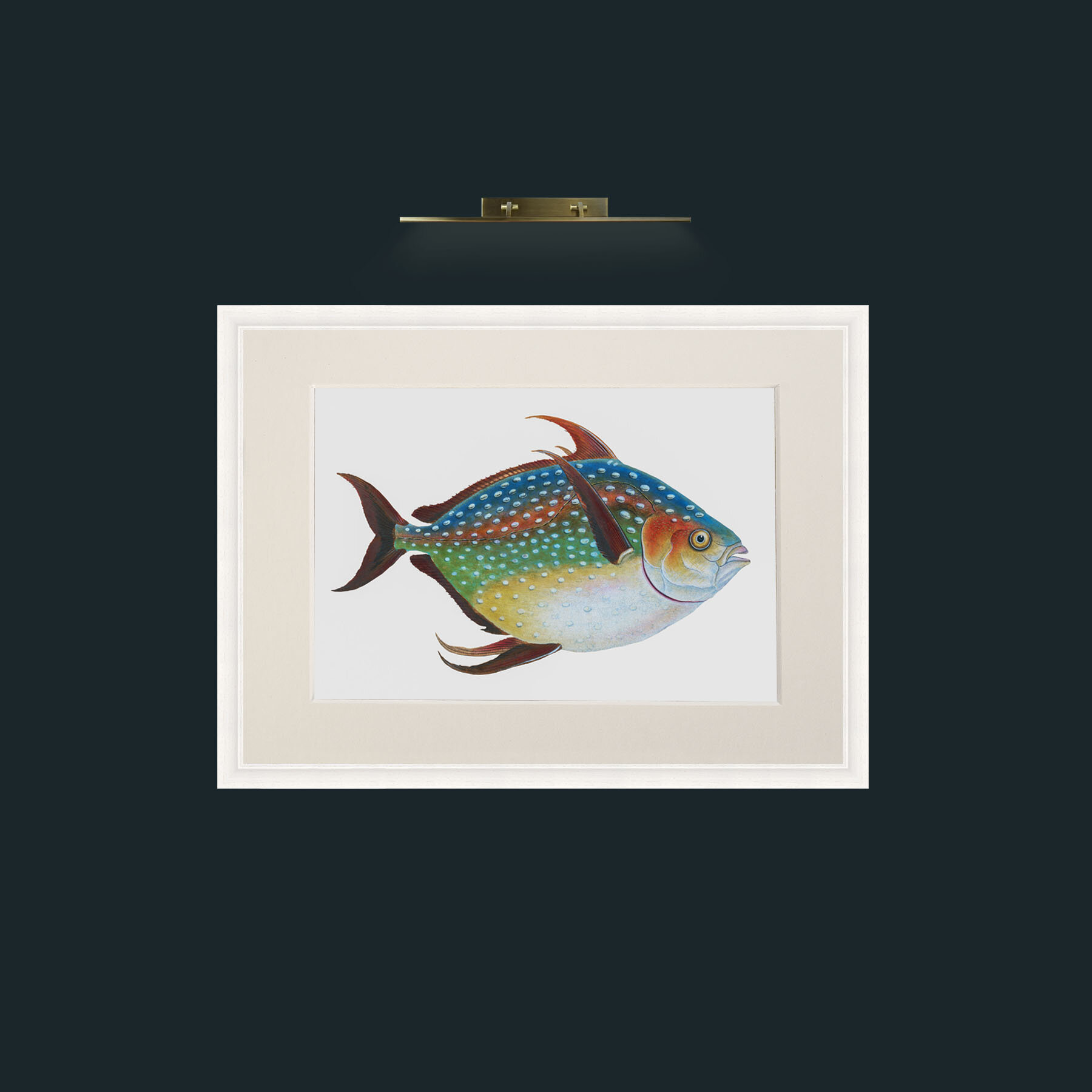 Art-Opah-Frame-5White-Mount-1Antique.jpg