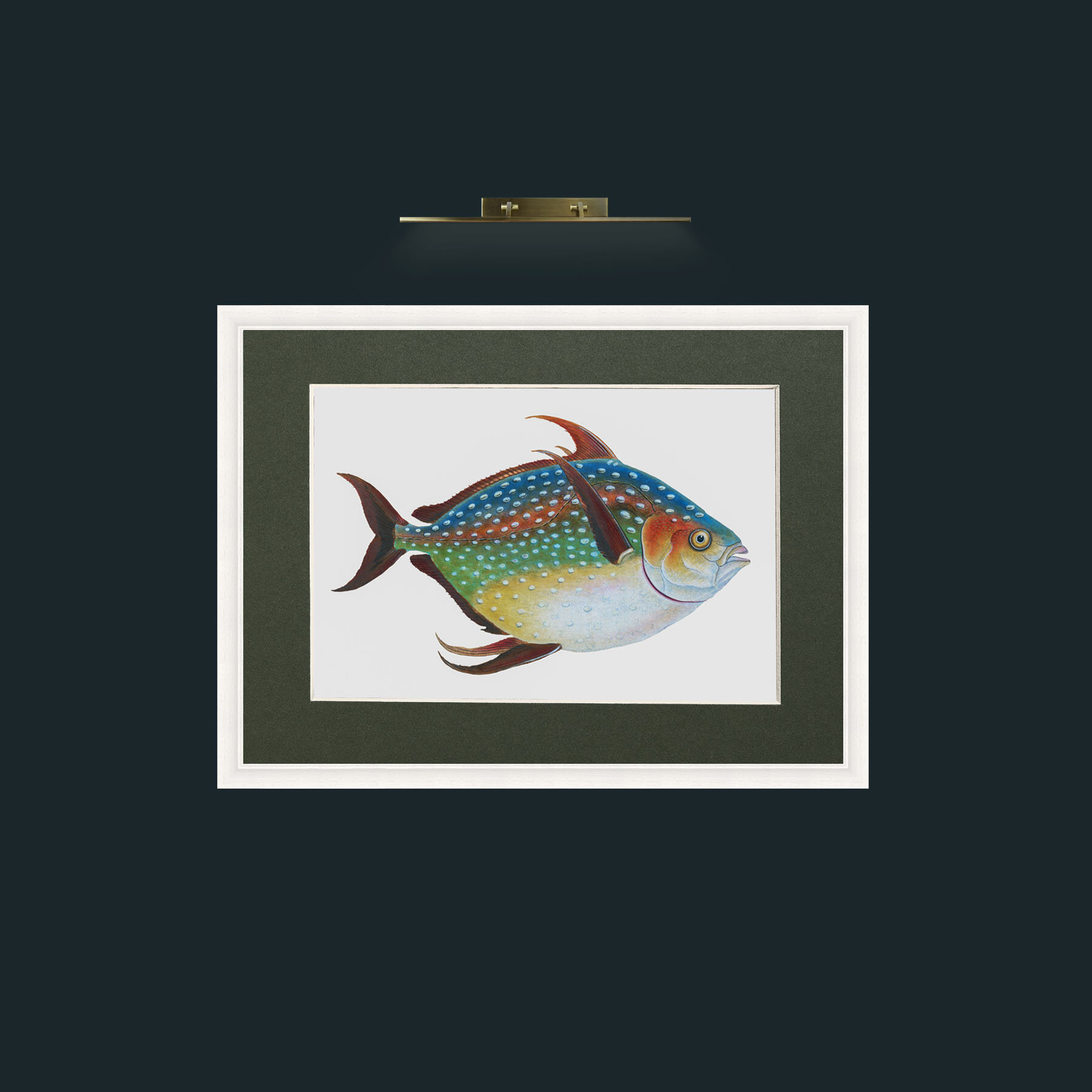 Art-Opah-Frame-5White-Mount-2Green.jpg