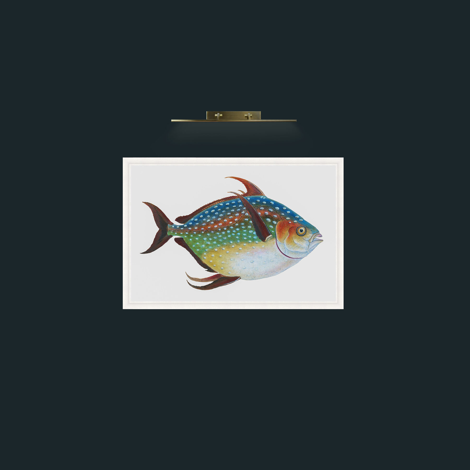 Art-Opah-Frame-5White.jpg