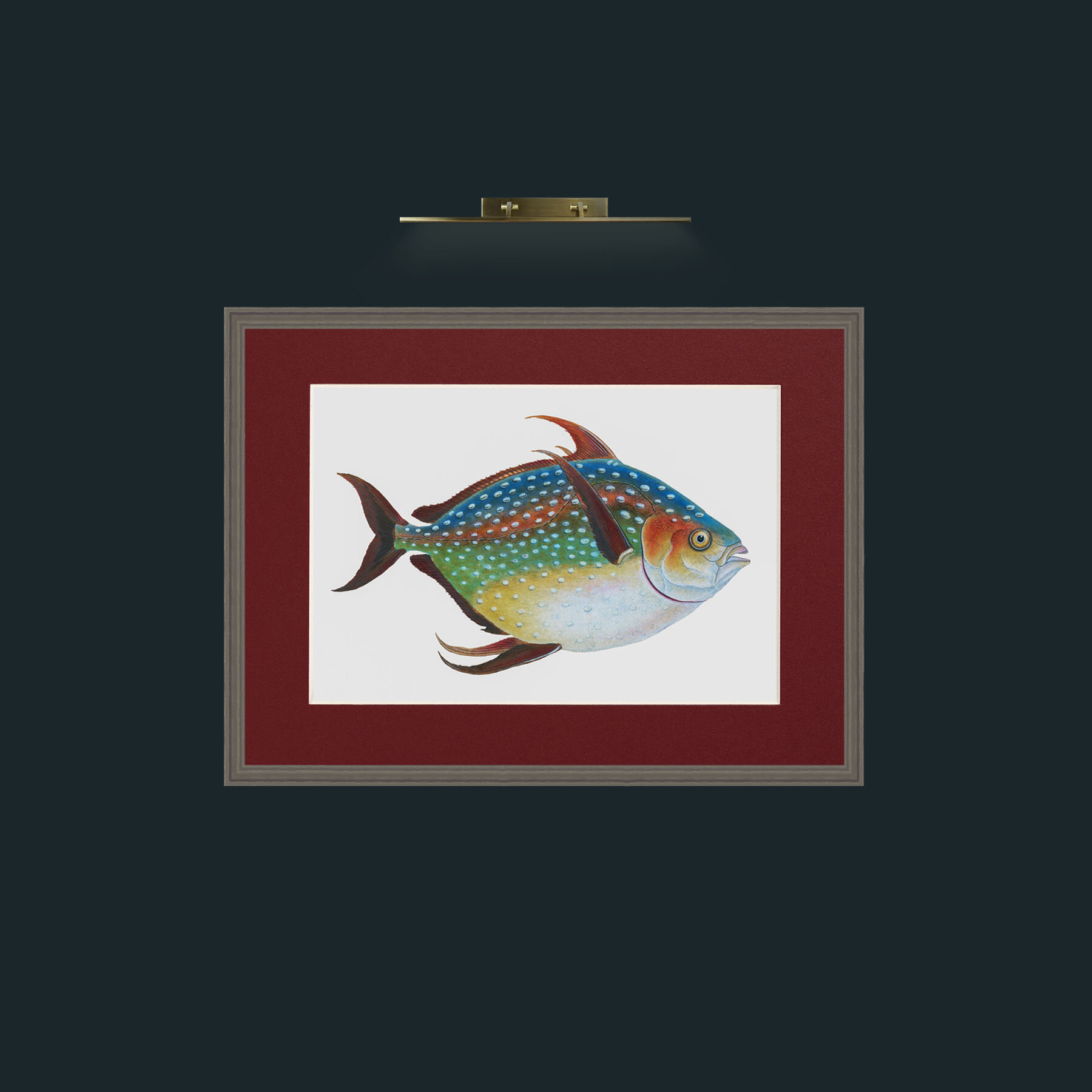 Art-Opah-Frame-6Grey-Mount-4Red.jpg