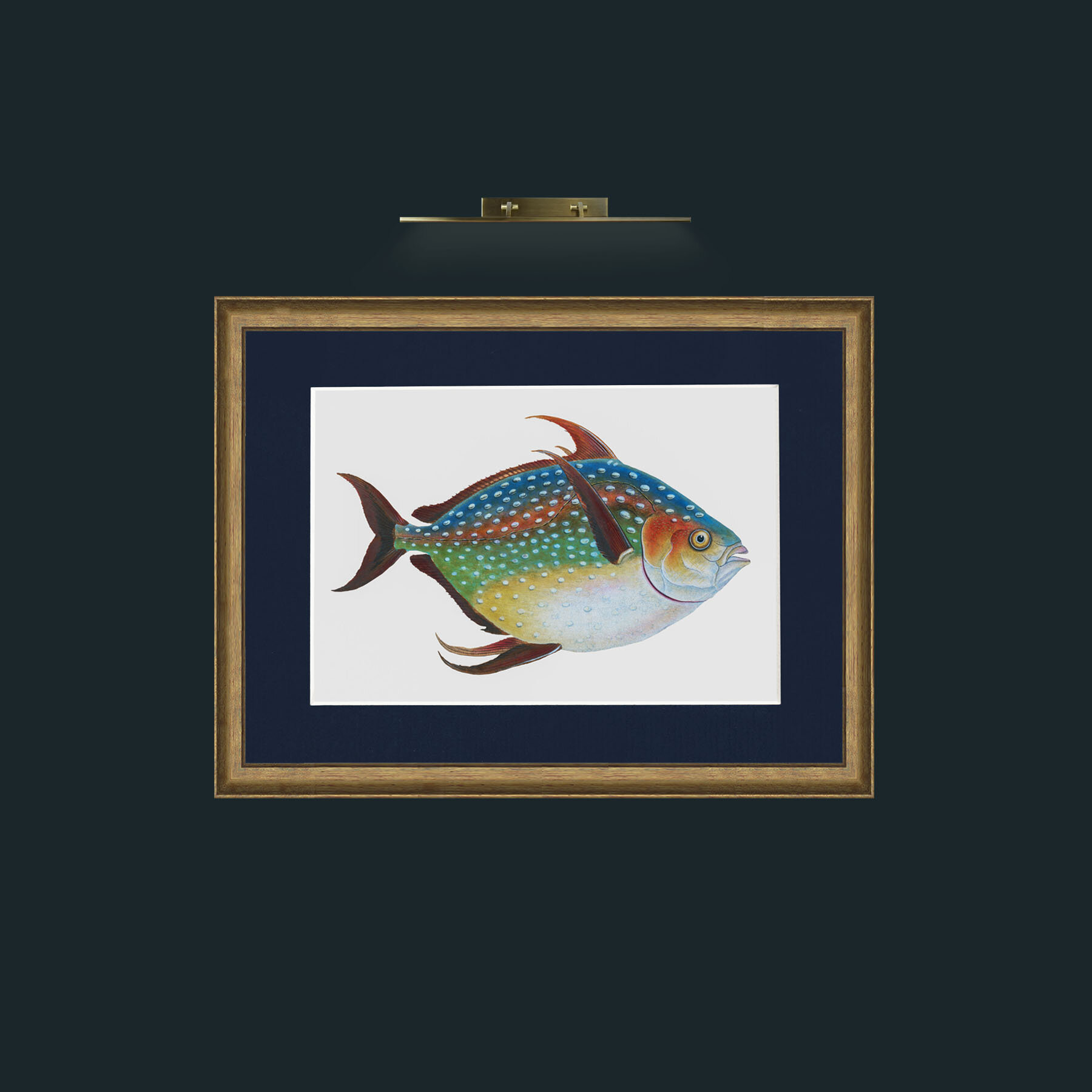 Art-Opah-Frame-8AntiqueRedGoldGilt-Mount-3Blue.jpg