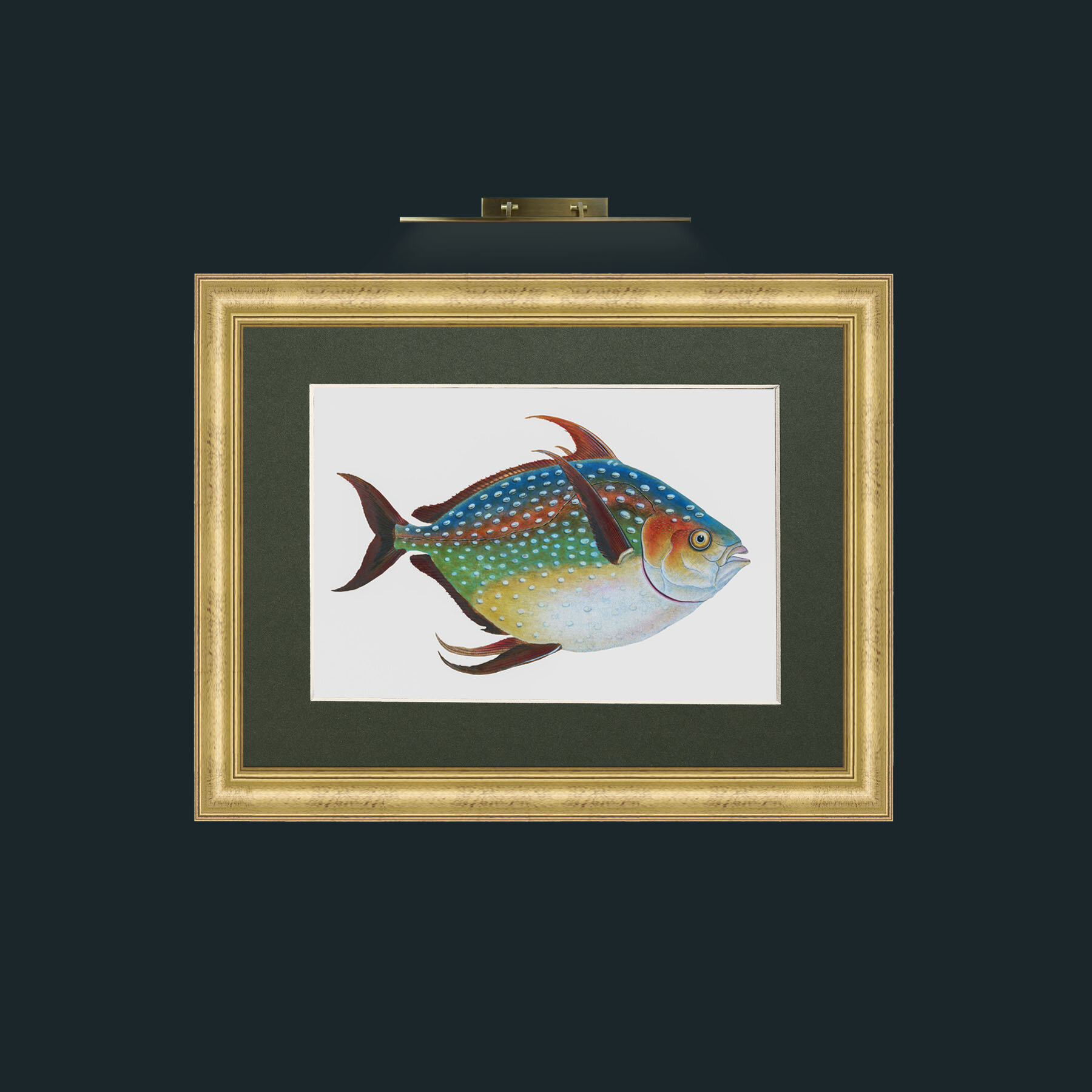Art-Opah-Frame-9WideGilt-Mount-2Green.jpg