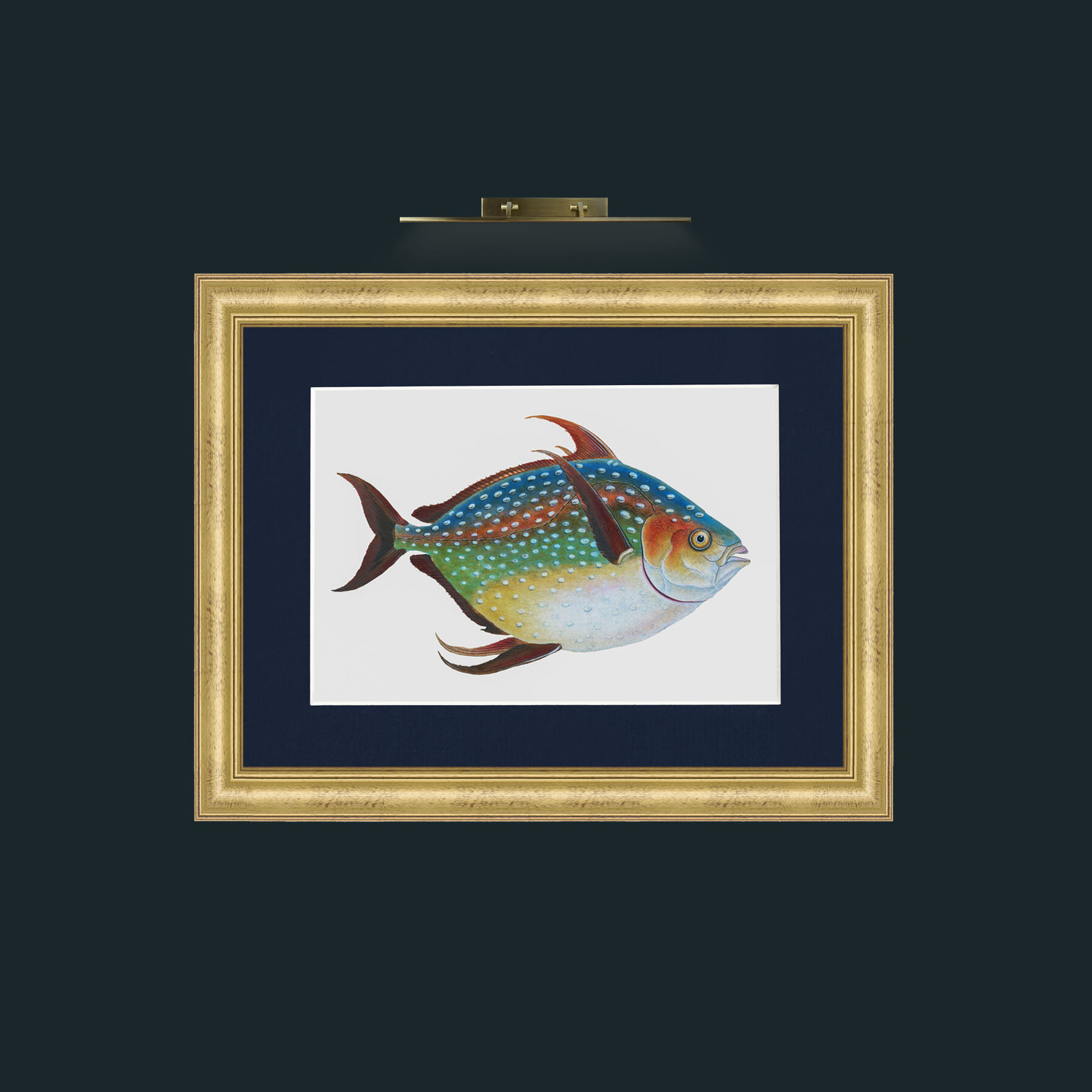 Art-Opah-Frame-9WideGilt-Mount-3Blue.jpg