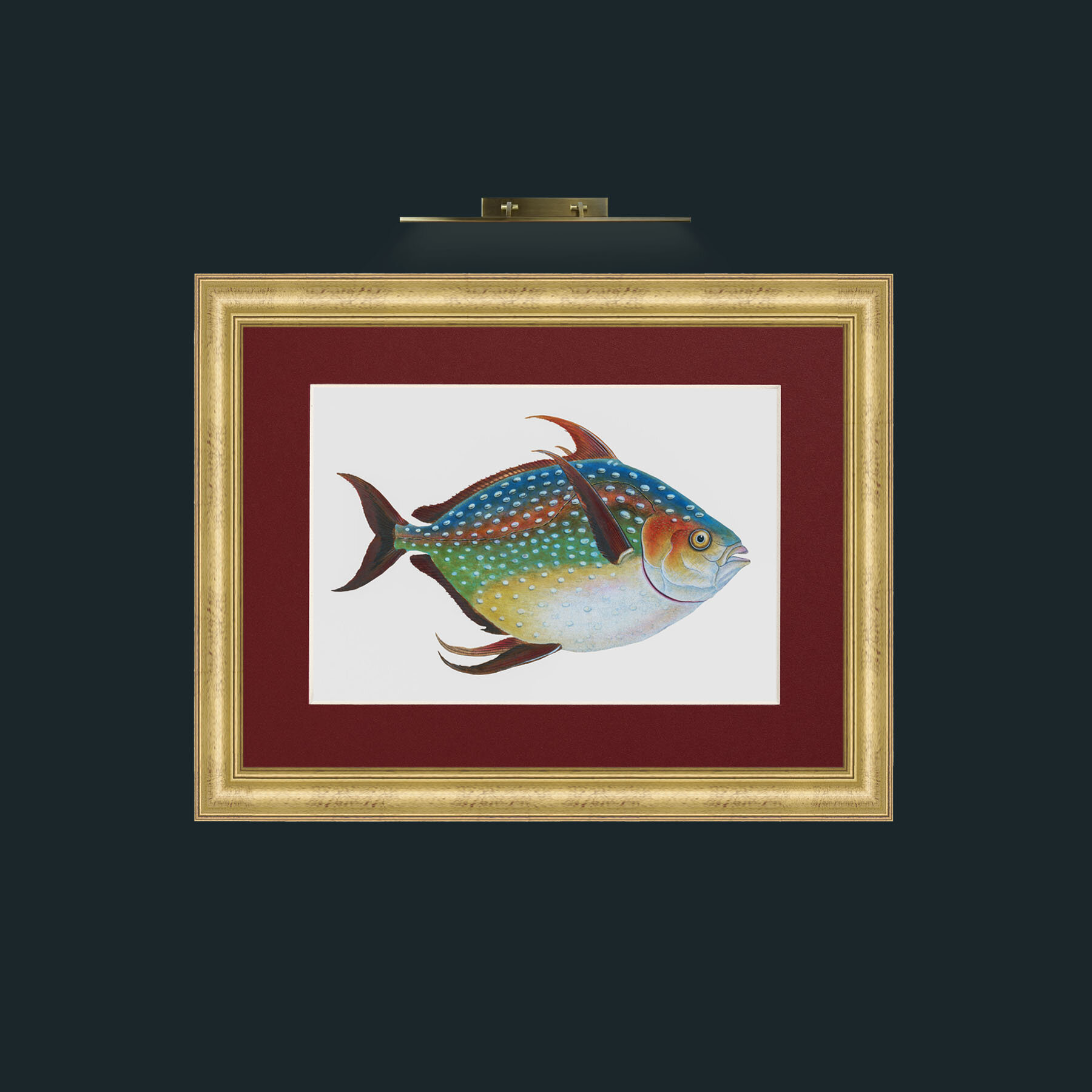 Art-Opah-Frame-9WideGilt-Mount-4Red.jpg
