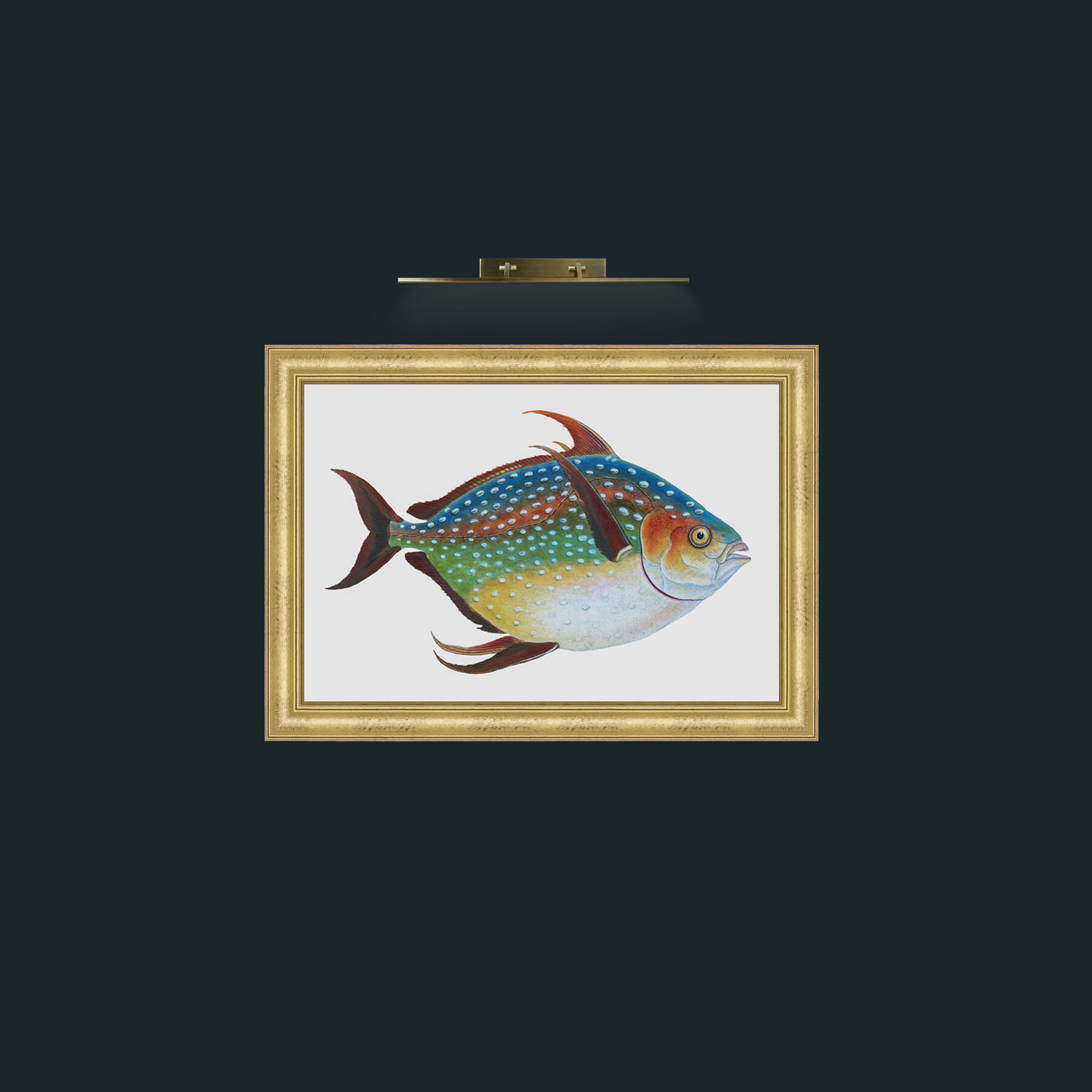 Art-Opah-Frame-9WideGilt.jpg