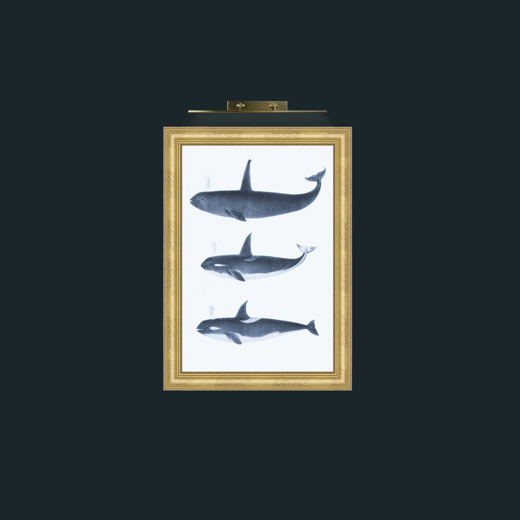Art-Orca_1-Frame-9WideGilt.jpg