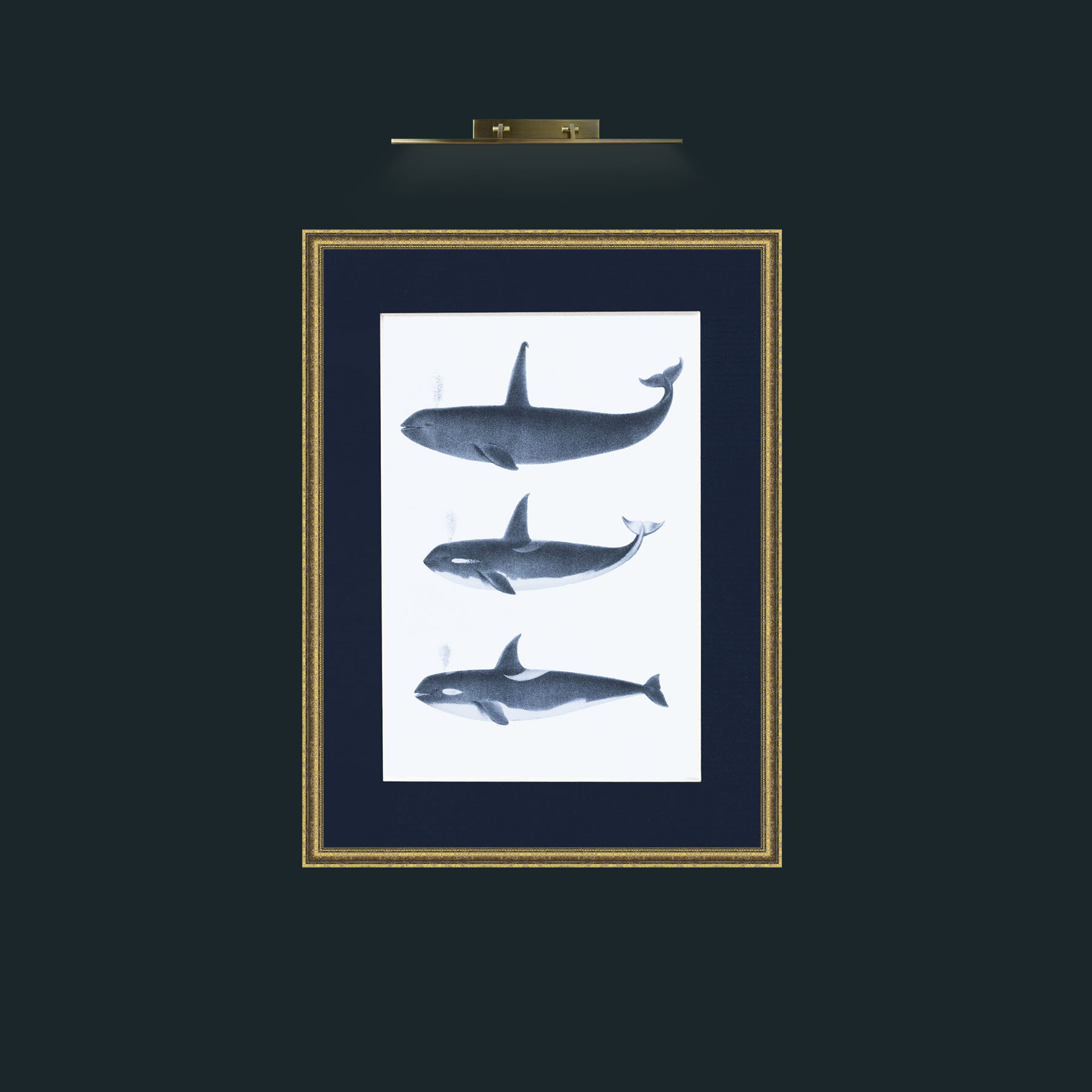 Art-Orca_1.jpg-Frame-1TexturedGilt-Mount-3Blue.jpg