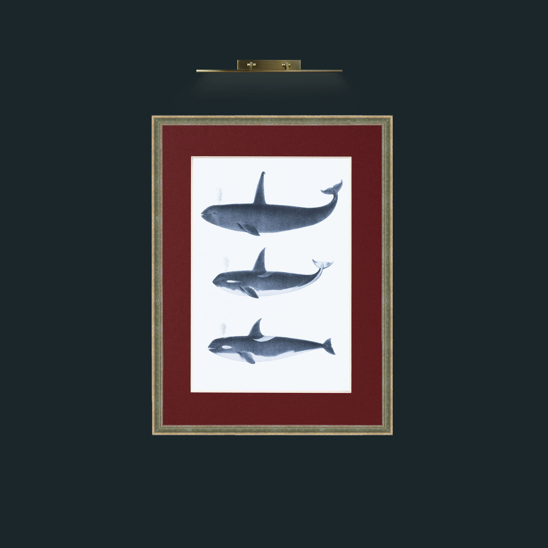 Art-Orca_1.jpg-Frame-2GreenGiltTextured-Mount-4Red.jpg