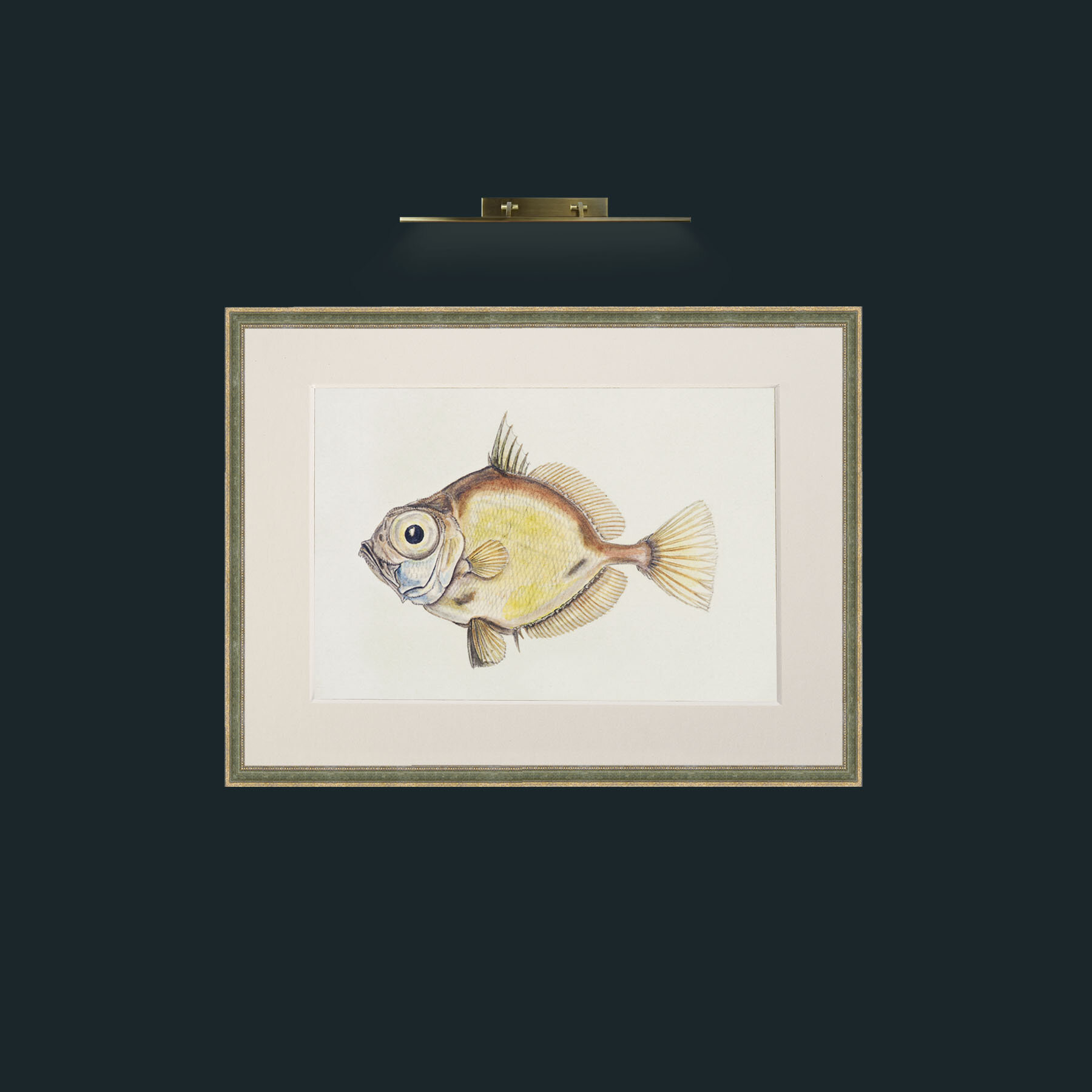 Art-Platystethus Abbrevatus-Frame-2GreenGiltTextured-Mount-1Antique.jpg