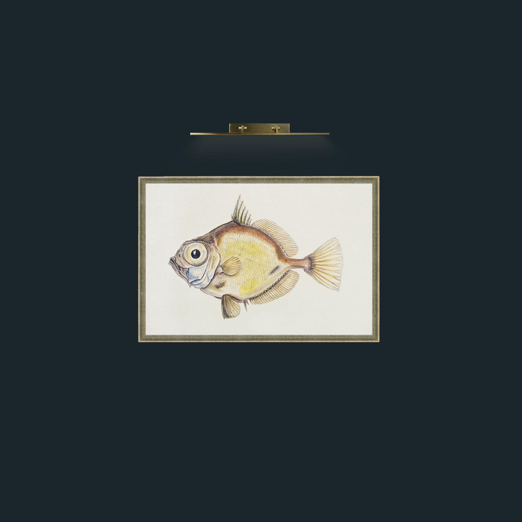 Art-Platystethus Abbrevatus-Frame-2GreenGiltTextured.jpg