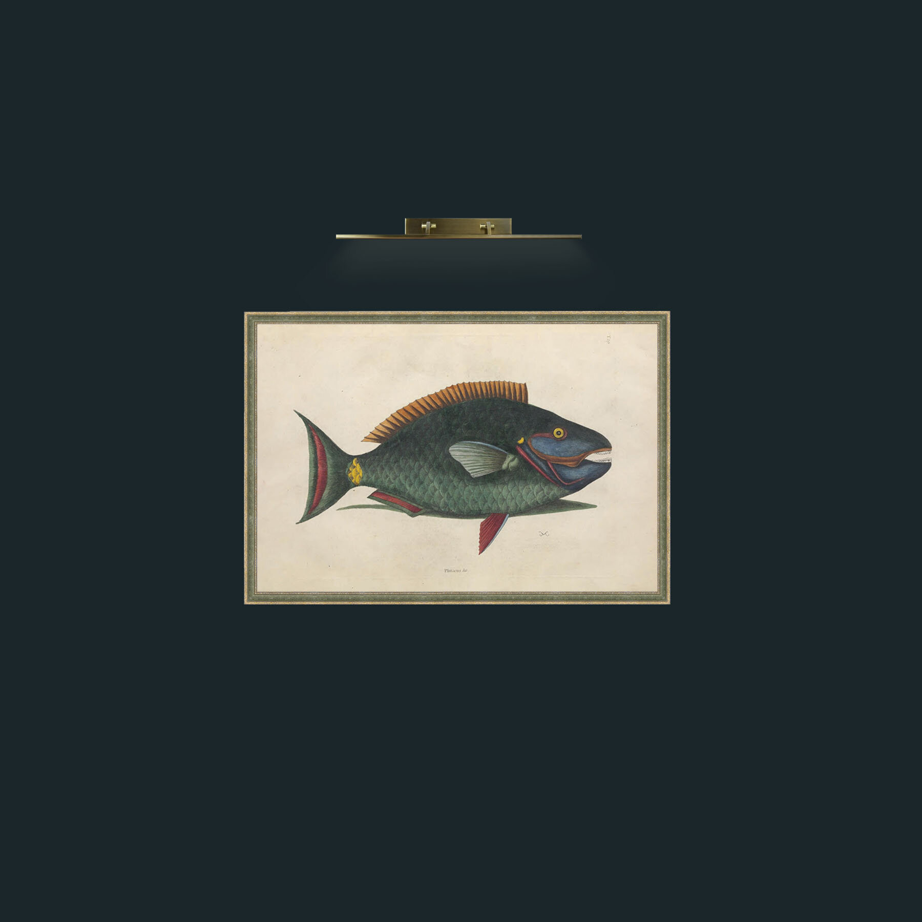 Art-Plittacus-Frame-2GreenGiltTextured.jpg