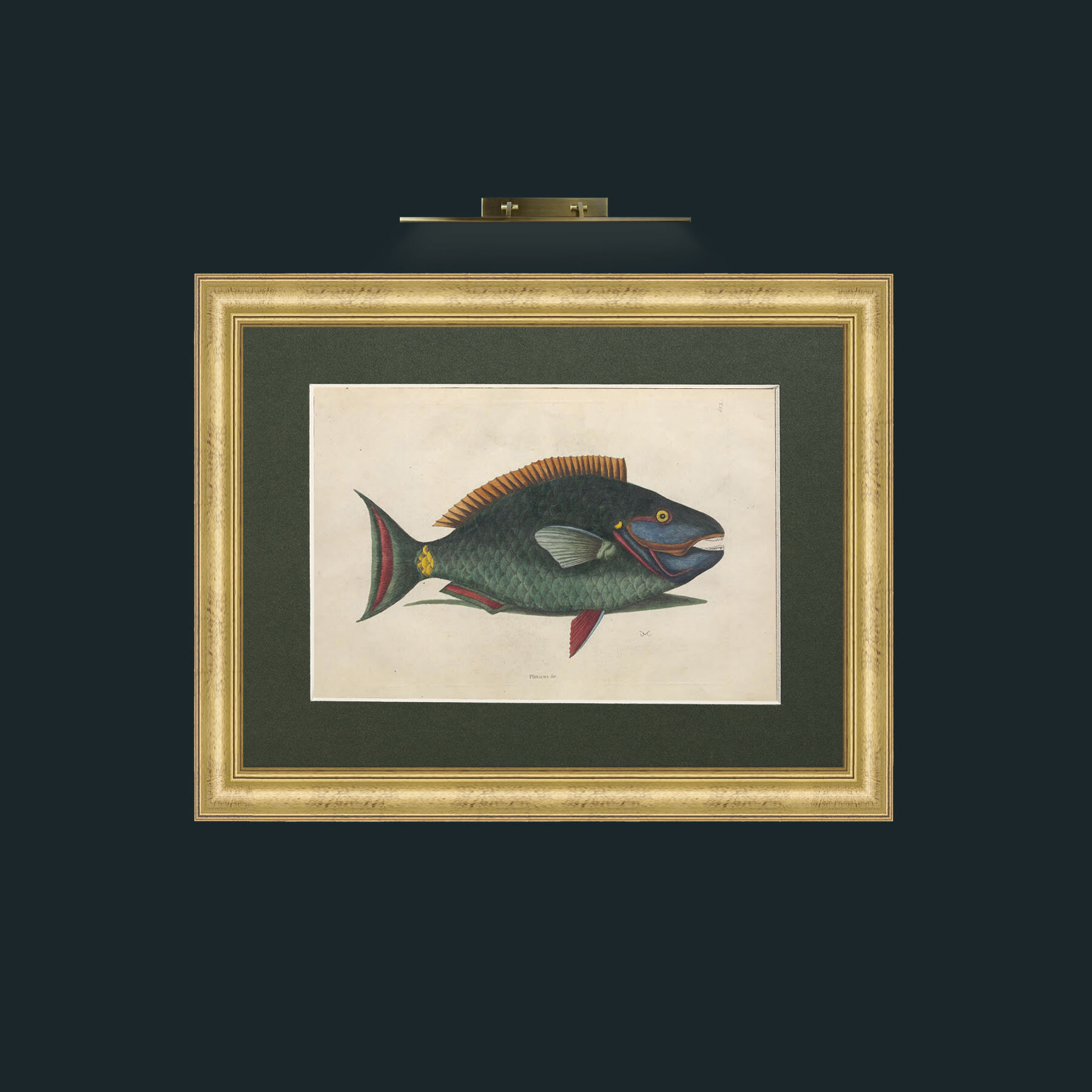 Art-Plittacus-Frame-9WideGilt-Mount-2Green.jpg
