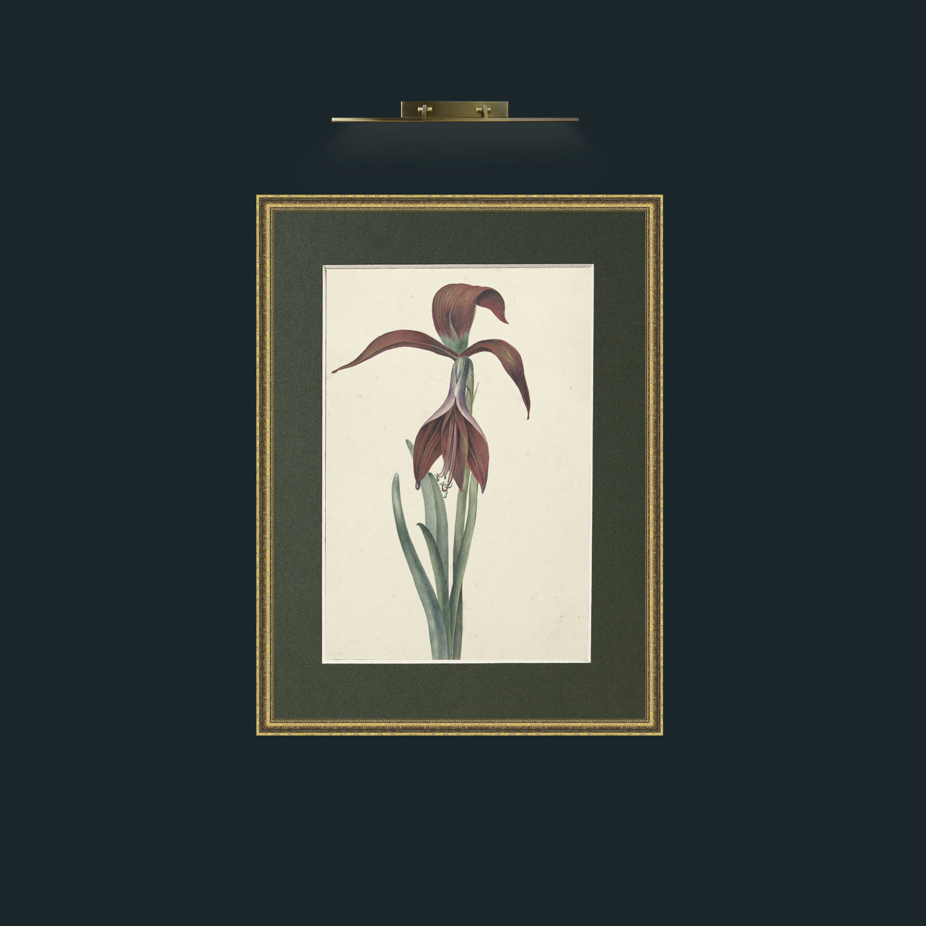 Art-Amaryllis Formosissima.jpg-Frame-1TexturedGilt-Mount-2Green.jpg