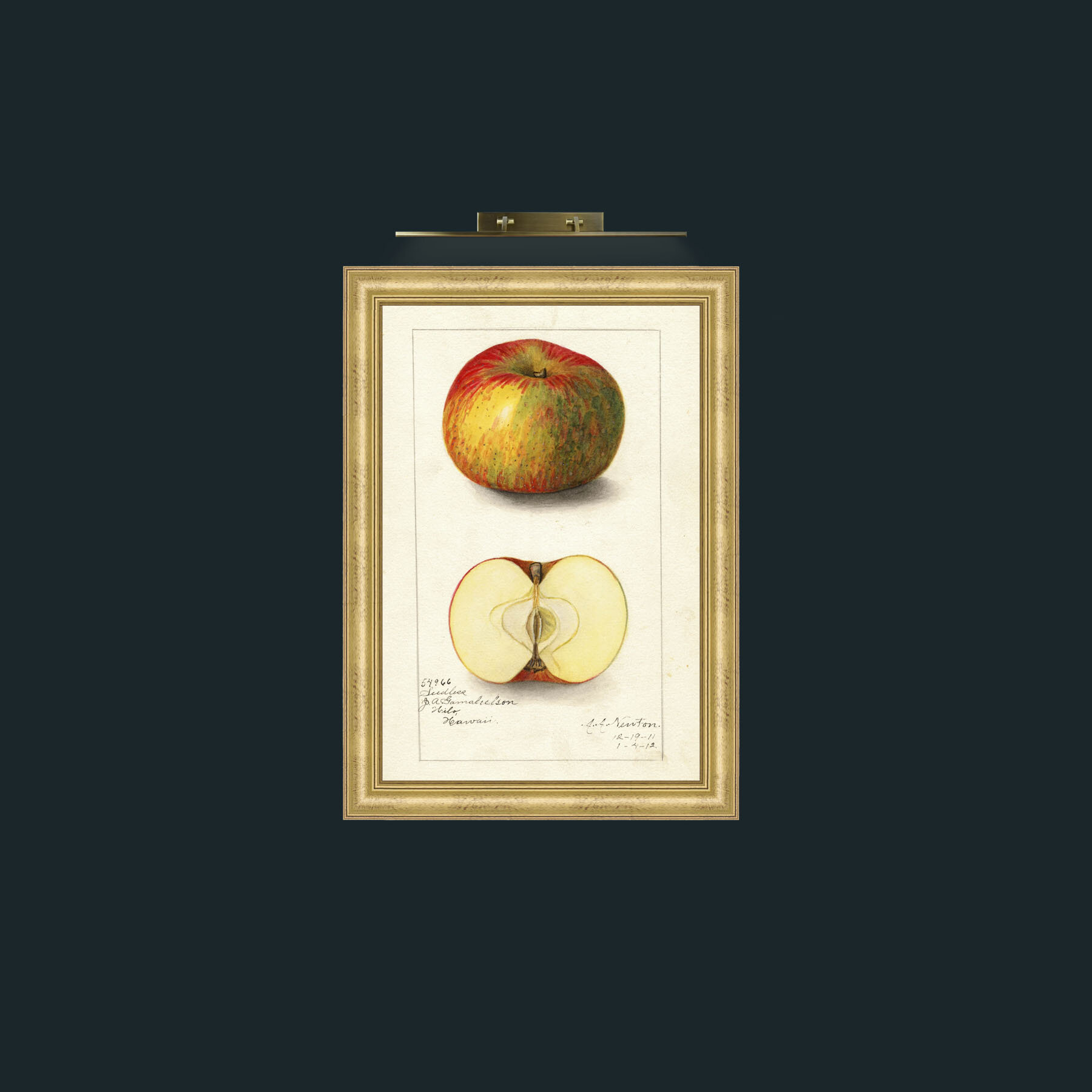 Art-Apple-Frame-9WideGilt.jpg