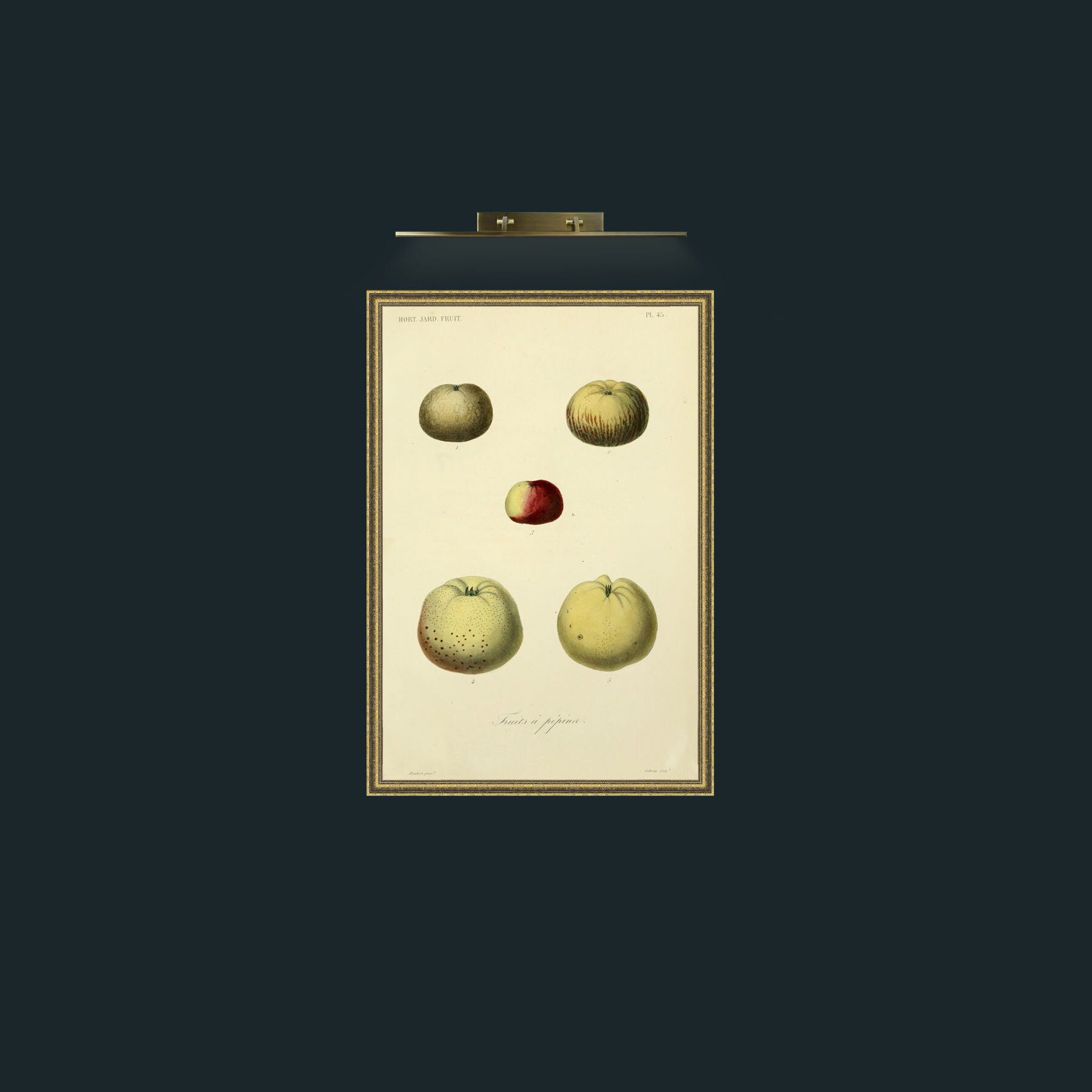 Art-Apples-Frame-1GiltTextured.jpg