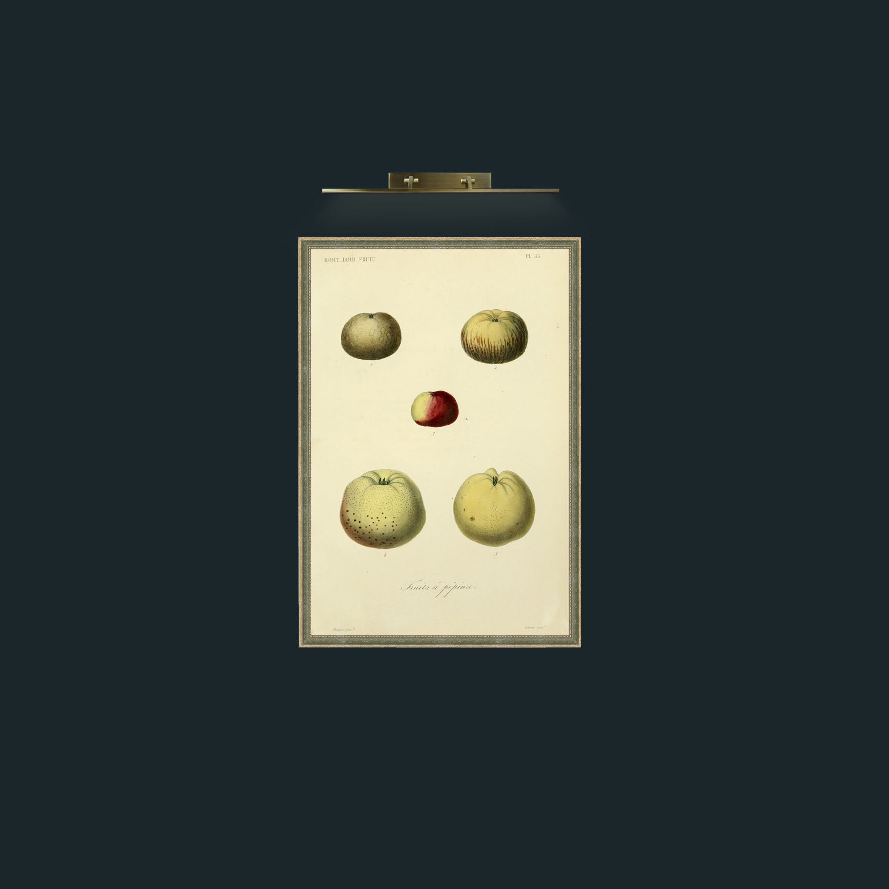 Art-Apples-Frame-2GreenGiltTextured.jpg